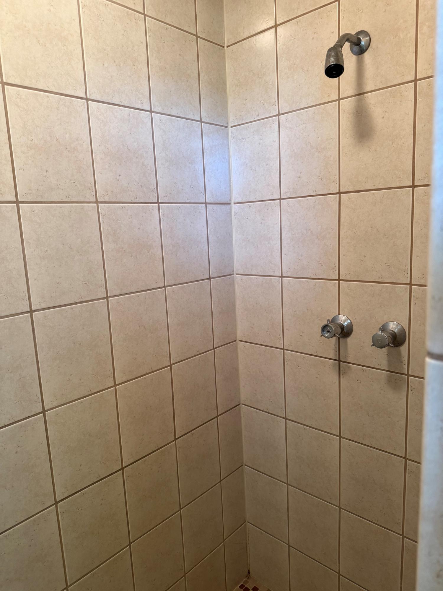 Arbutus Lake (C) Property 646 Birch Ln Photo 43