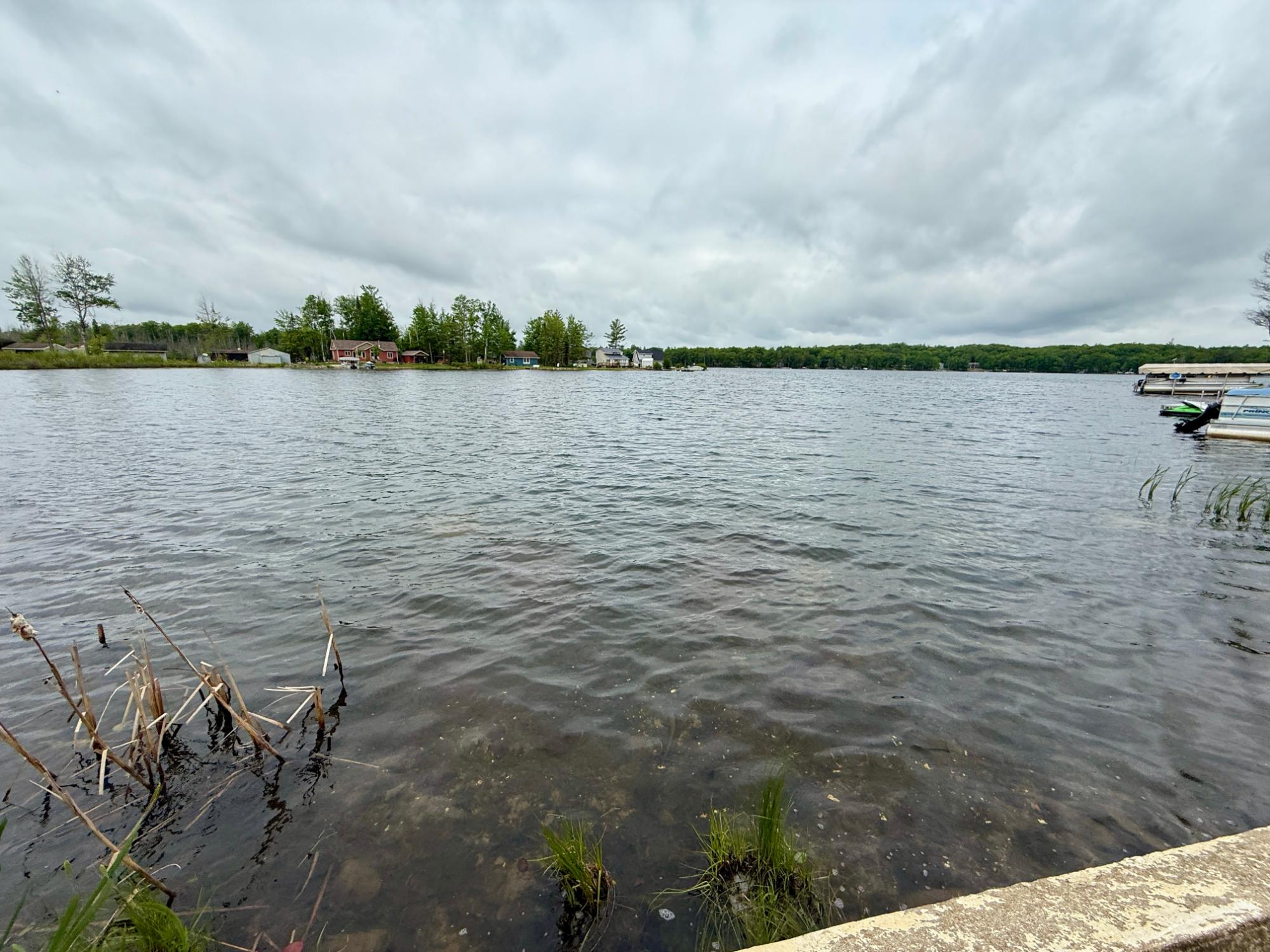 Arbutus Lake (C) Property 646 Birch Ln Photo 47