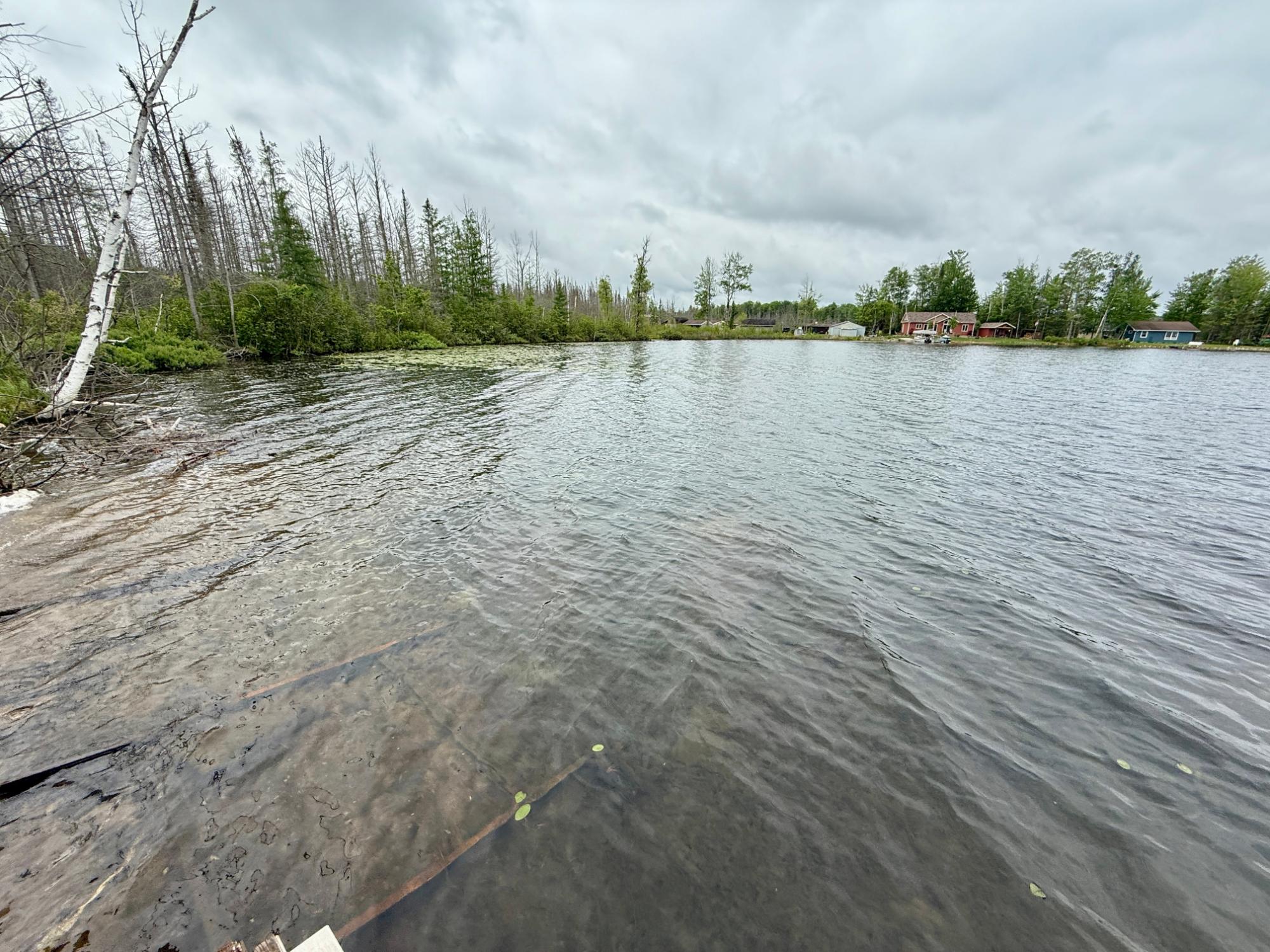 Arbutus Lake (C) Property 646 Birch Ln Photo 48