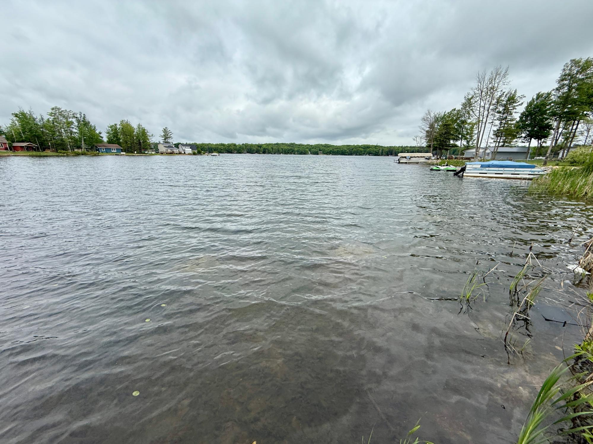 Arbutus Lake (C) Property 646 Birch Ln Photo 49