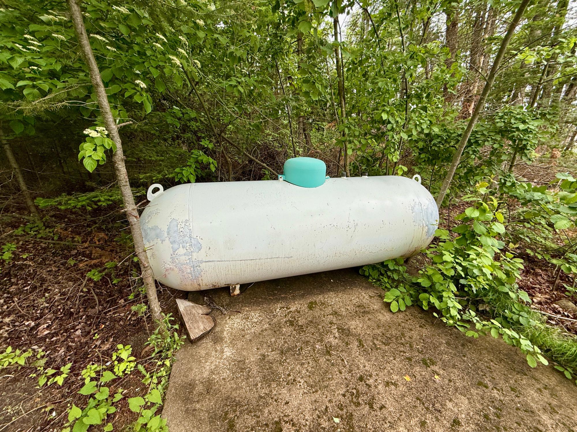 Arbutus Lake (C) Property 646 Birch Ln Photo 63