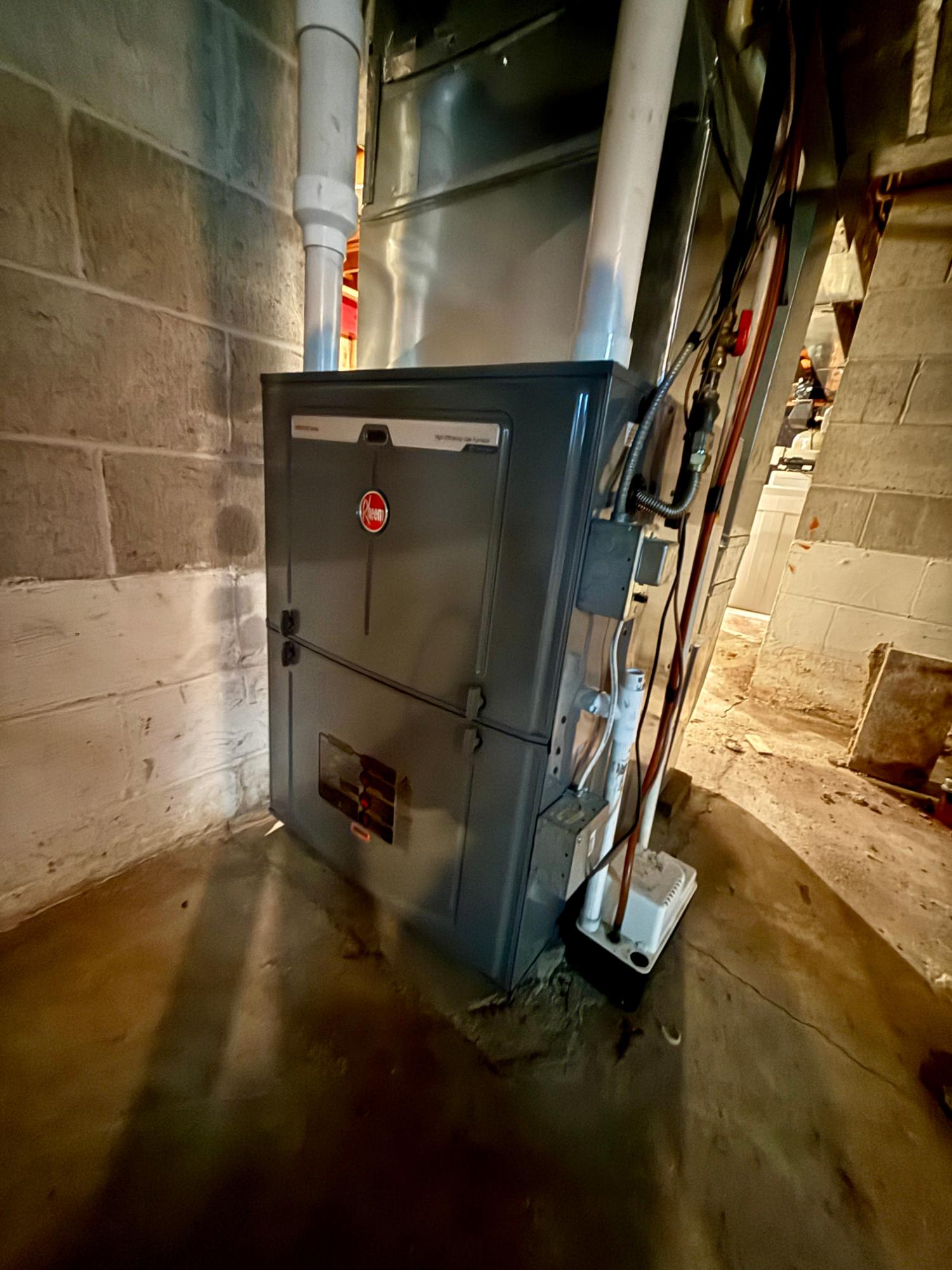 Arbutus Lake (C) Property 646 Birch Ln Photo 68