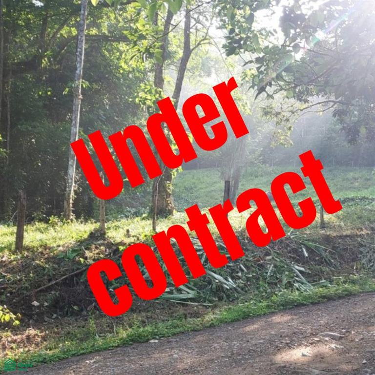 0 bed Land For Sale in Osa, Puntarenas - 1