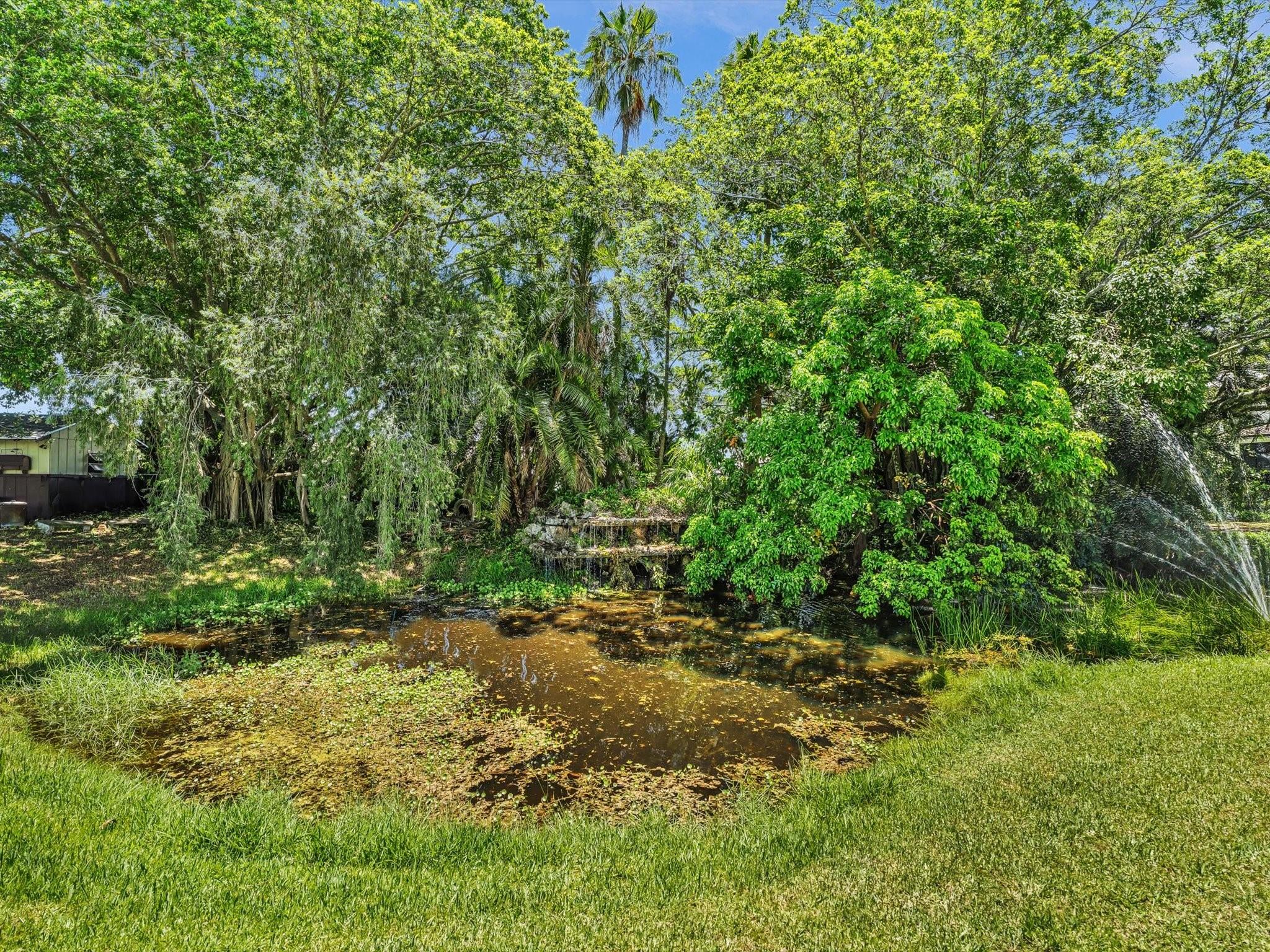 located at the back of the primary house