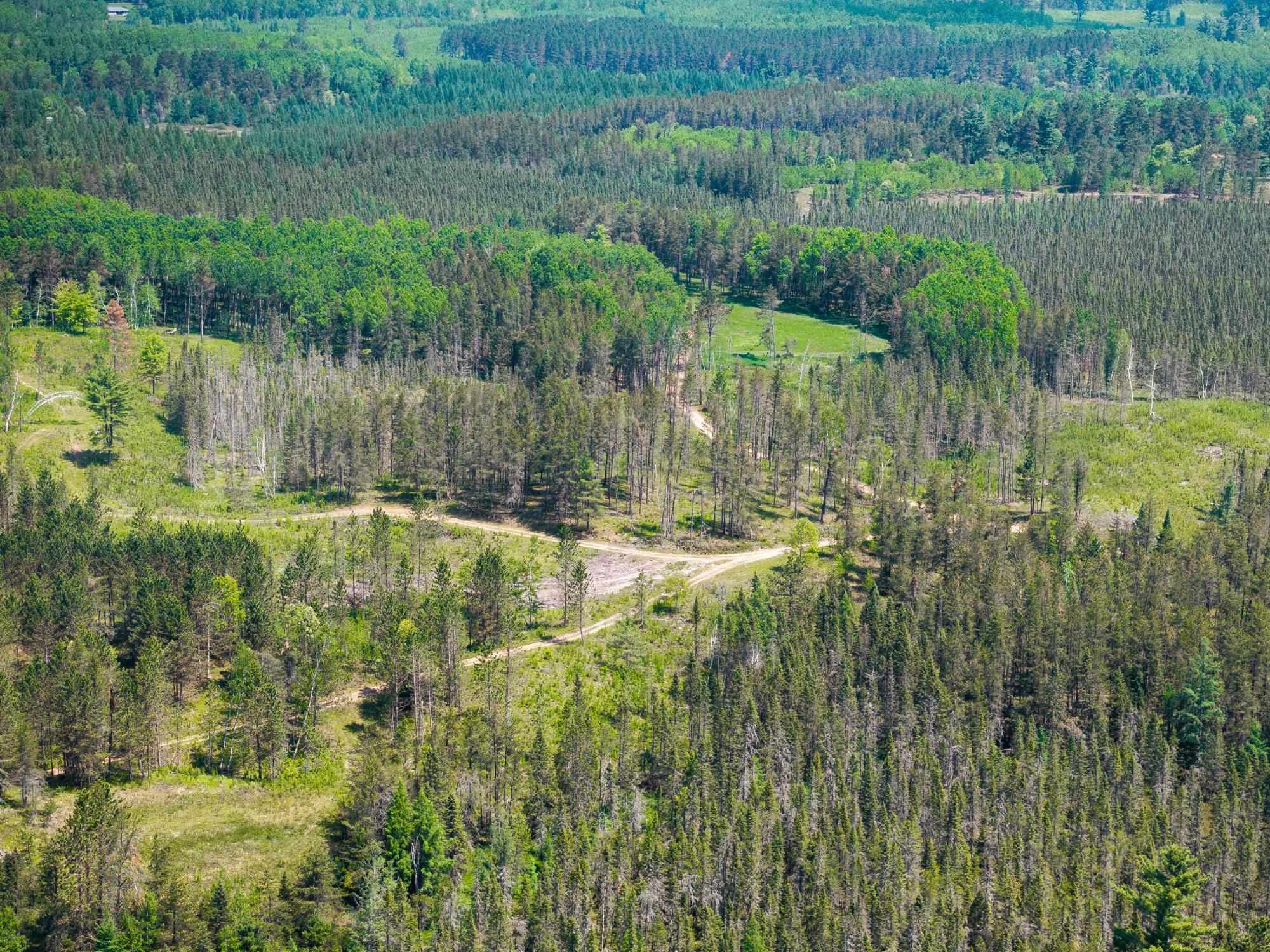 River Property Property 4017 Hwy 51 Photo 63