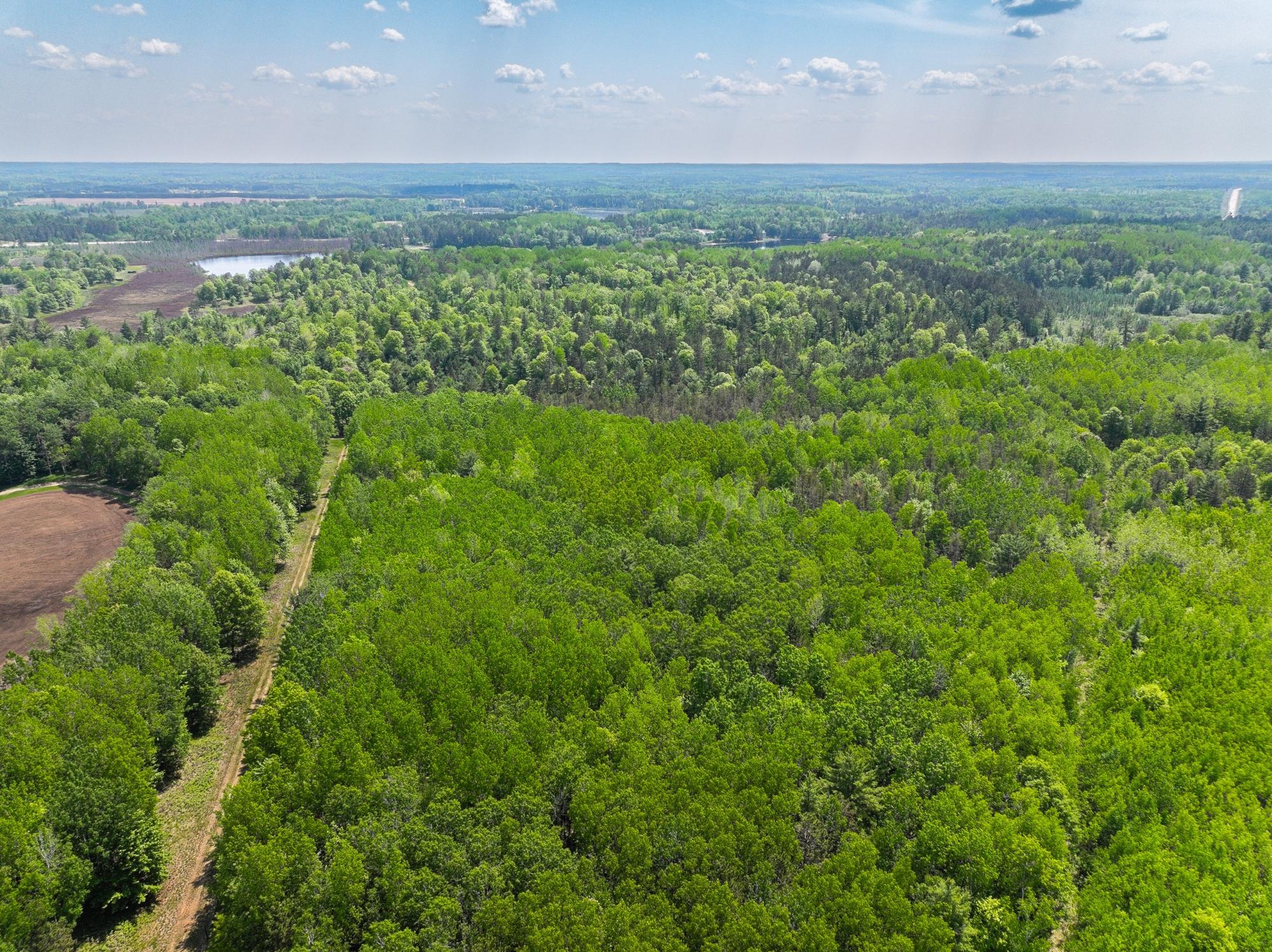 River Property Property 4017 Hwy 51 Photo 71