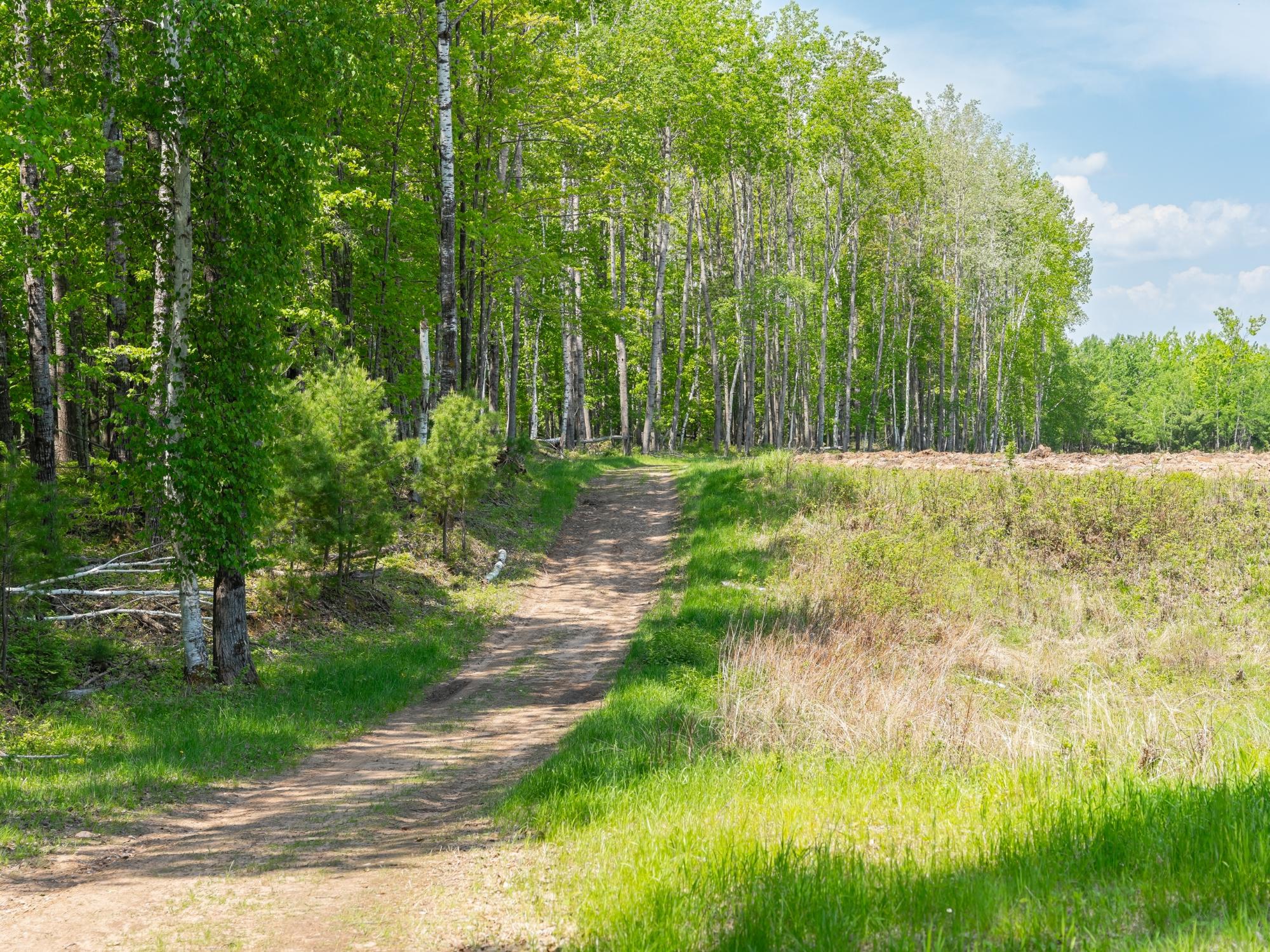 River Property Property 4017 Hwy 51 Photo 89