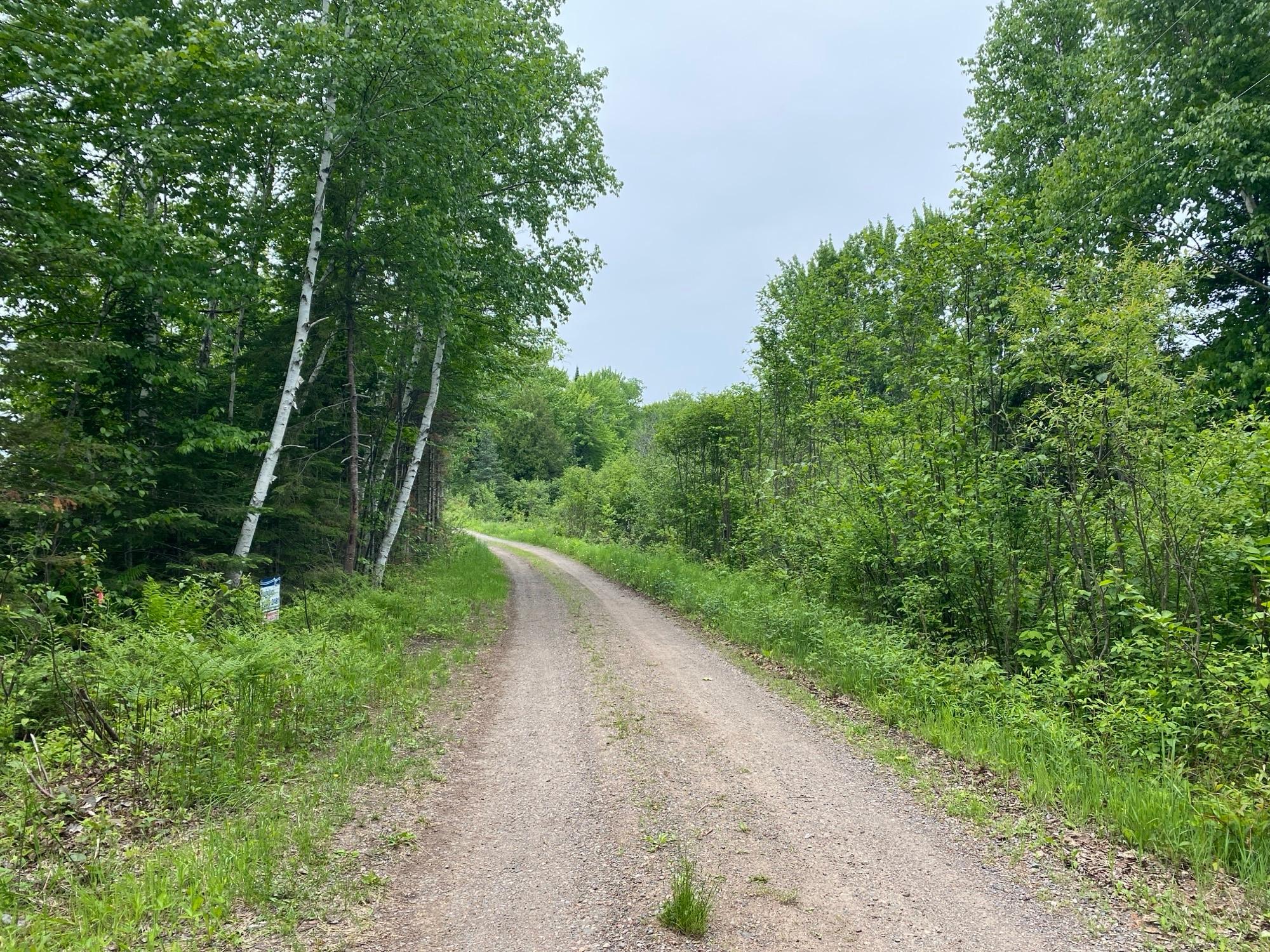 Oxbow Lake Property LOT Hiawatha Shores Rd Photo 9