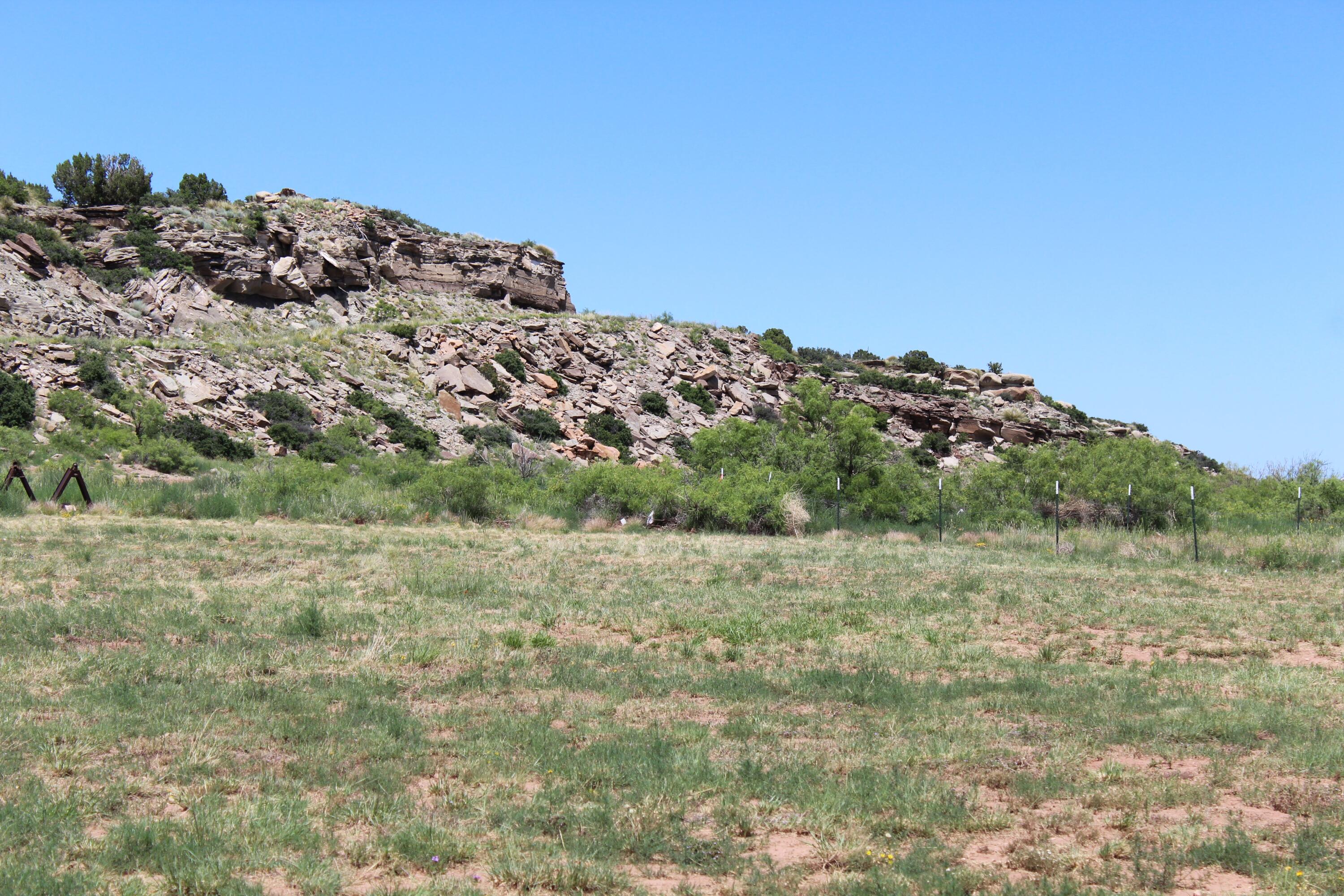 Homes for sale in Conchas Dam, NM | 615 Bullhead Dr, Conchas Dam, NM 88416 | MLS# 1085994