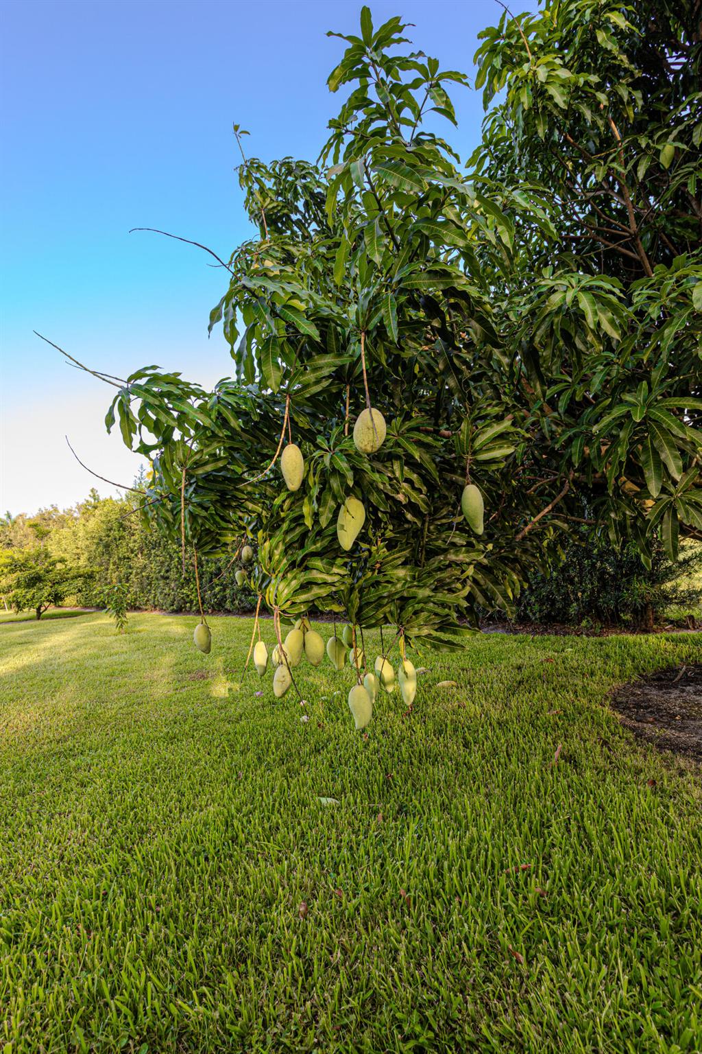 Homes for sale in Plantation, FL | 875 Nw 120th Avenue, Plantation, FL 33325 | MLS# R11099352