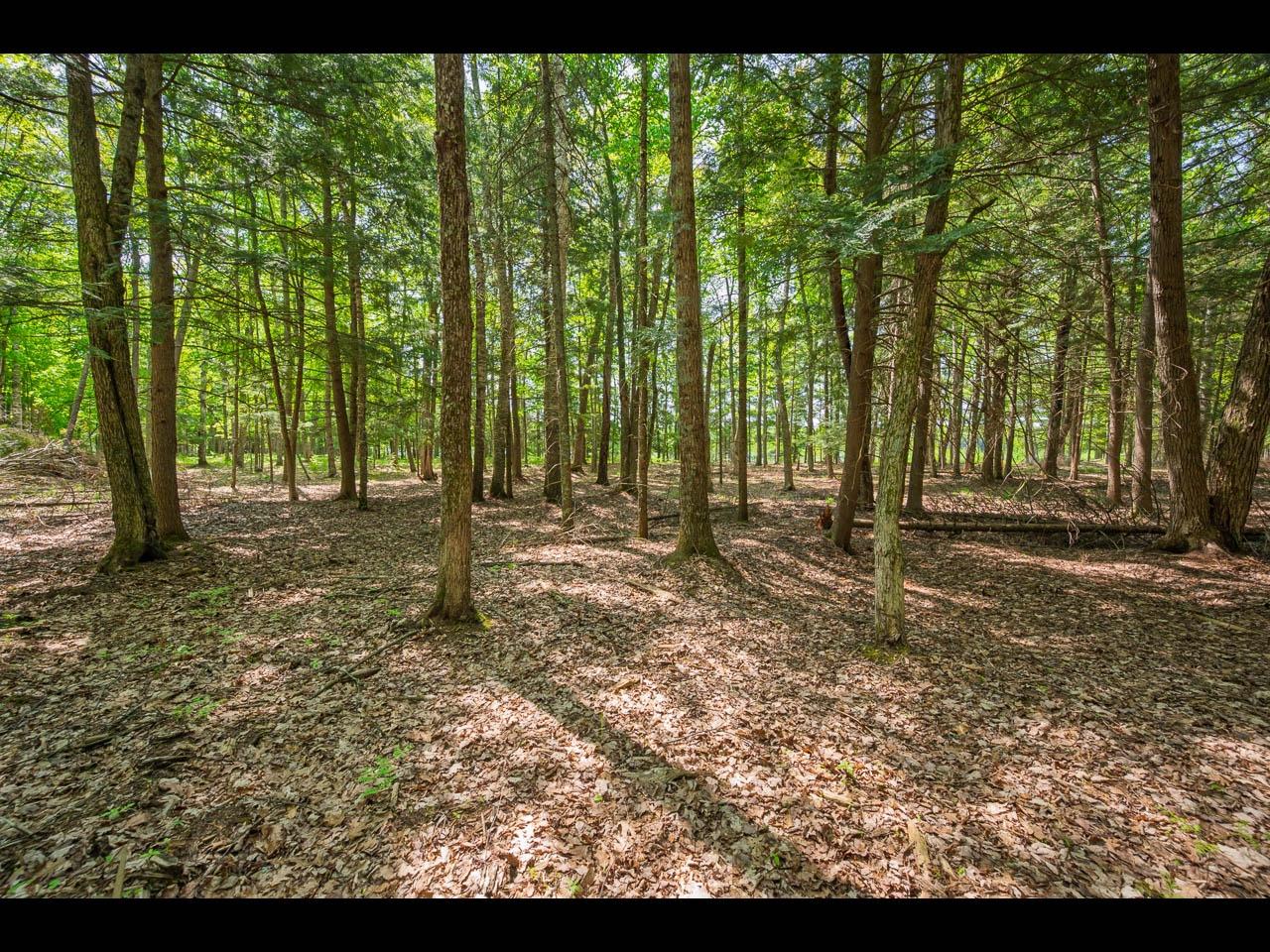 Clearwater Lake Property Lot 22 Bonita Pt Photo 10