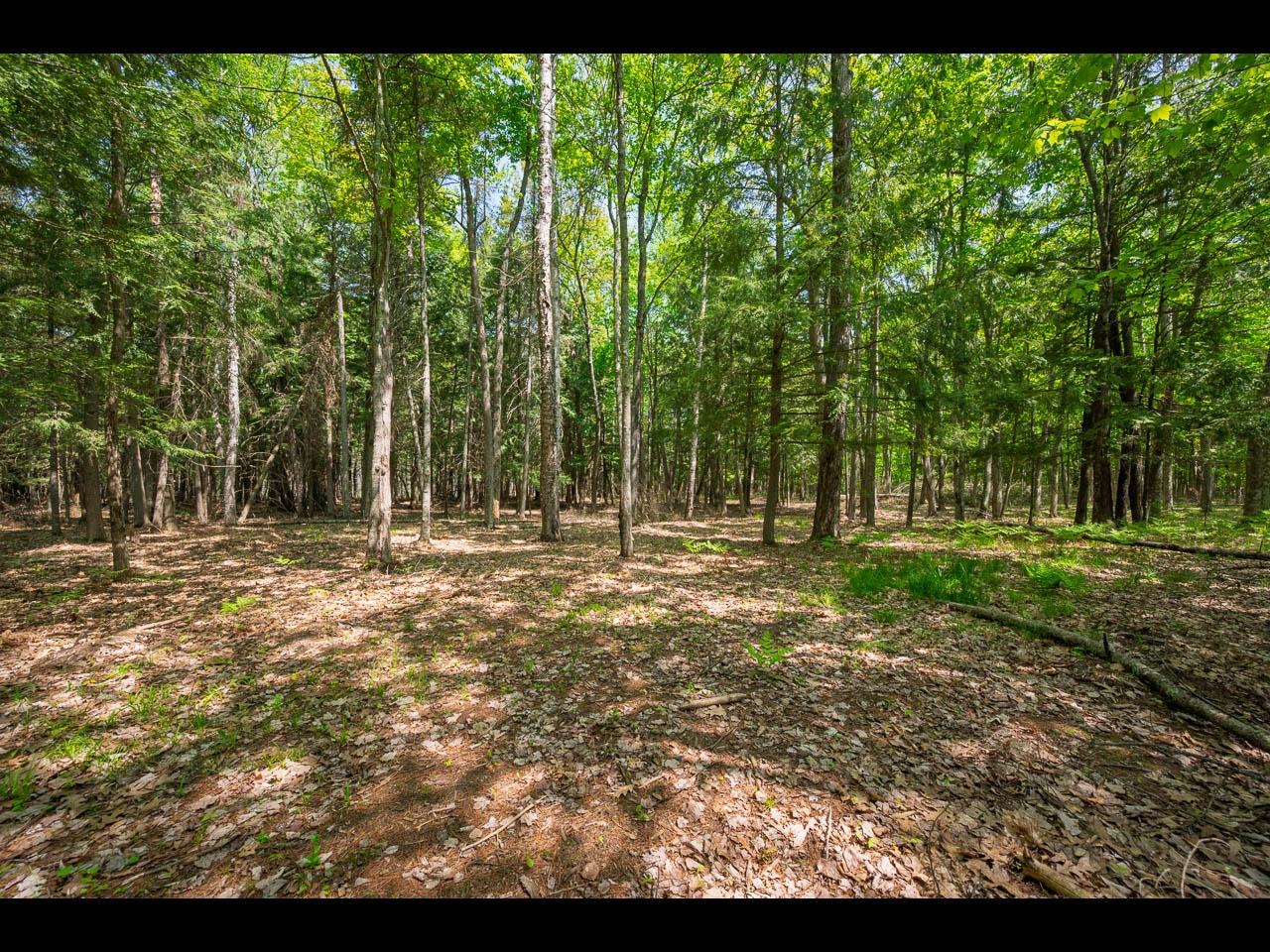 Clearwater Lake Property Lot 22 Bonita Pt Photo 7