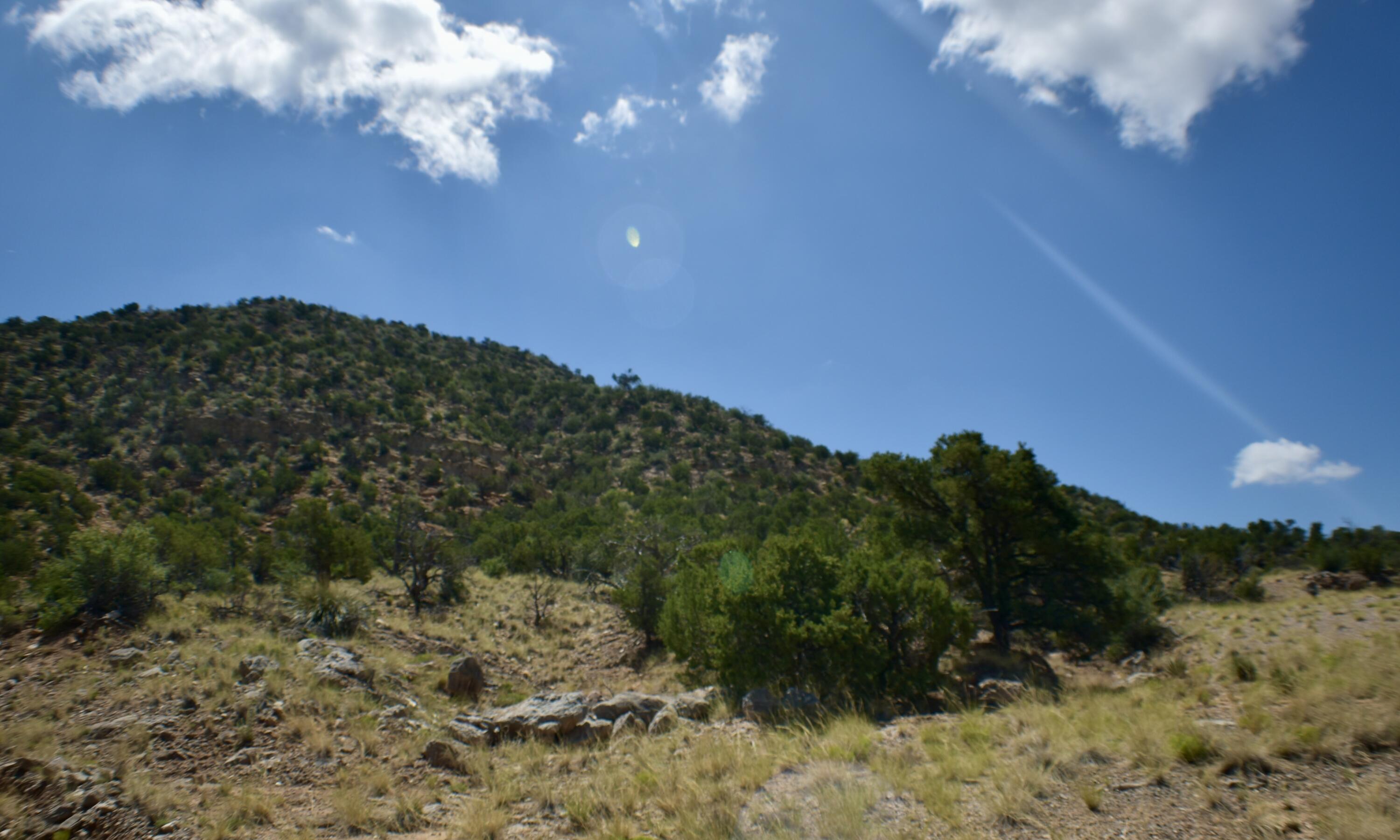 Homes for sale in Mountainair, NM | 1676 Deer Canyon Trail Trail, Mountainair, NM 87036 | MLS# 1086092
