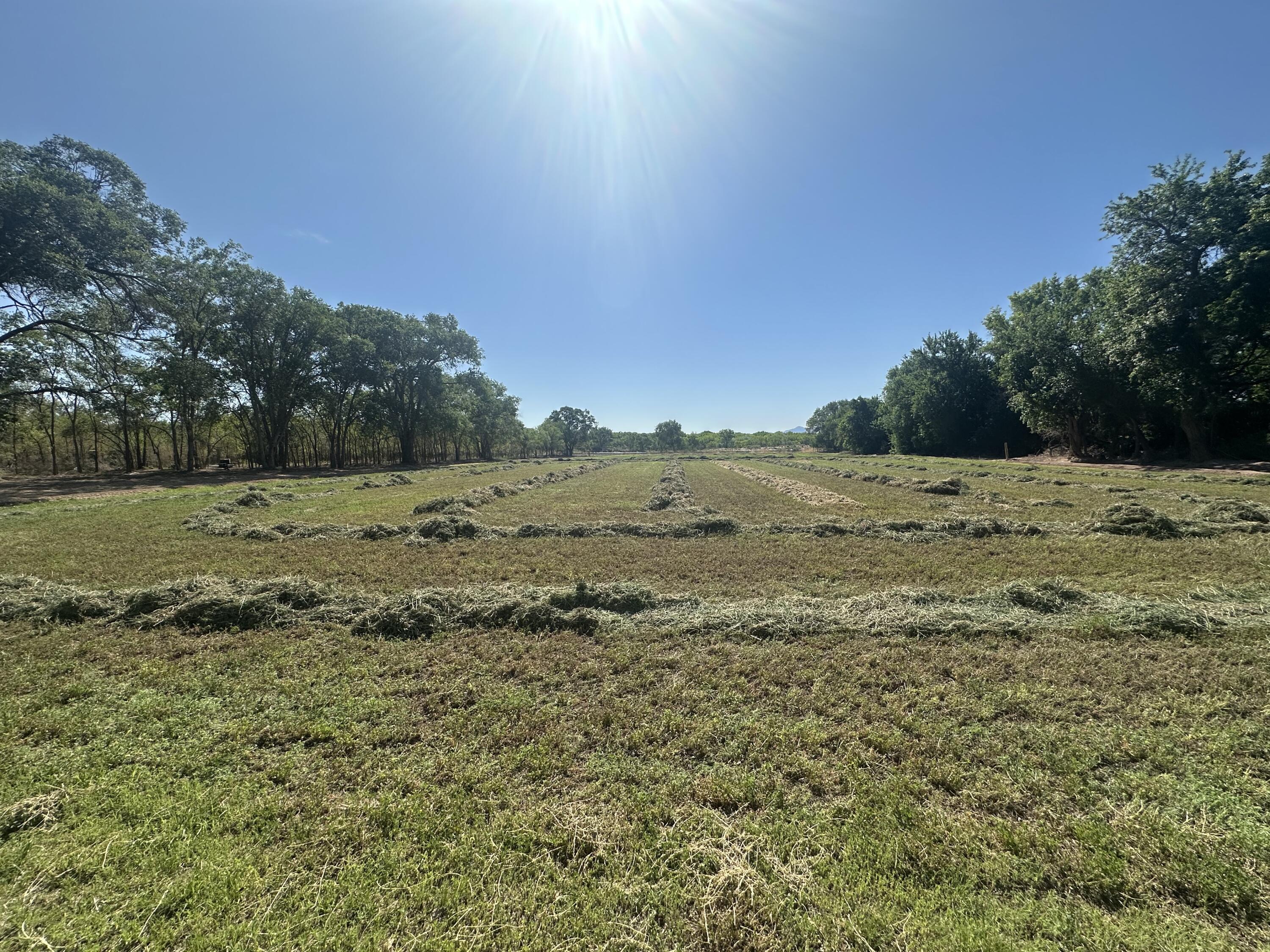 Homes for sale in Bosque, NM | 126 Off Nm Hwy 116, Bosque, NM 87006 | MLS# 1086093