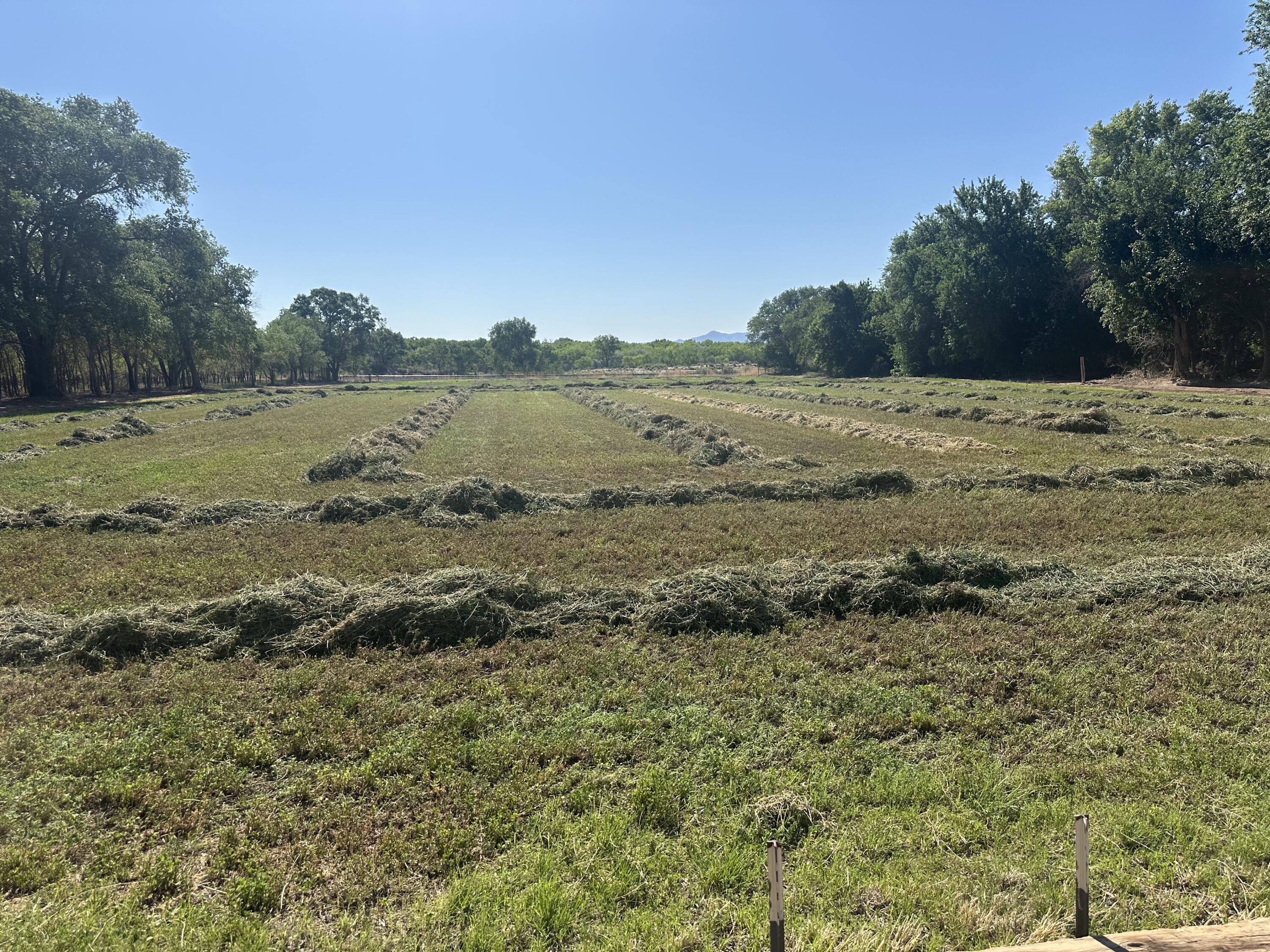 Homes for sale in Bosque, NM | 126 Off Nm Hwy 116, Bosque, NM 87006 | MLS# 1086093