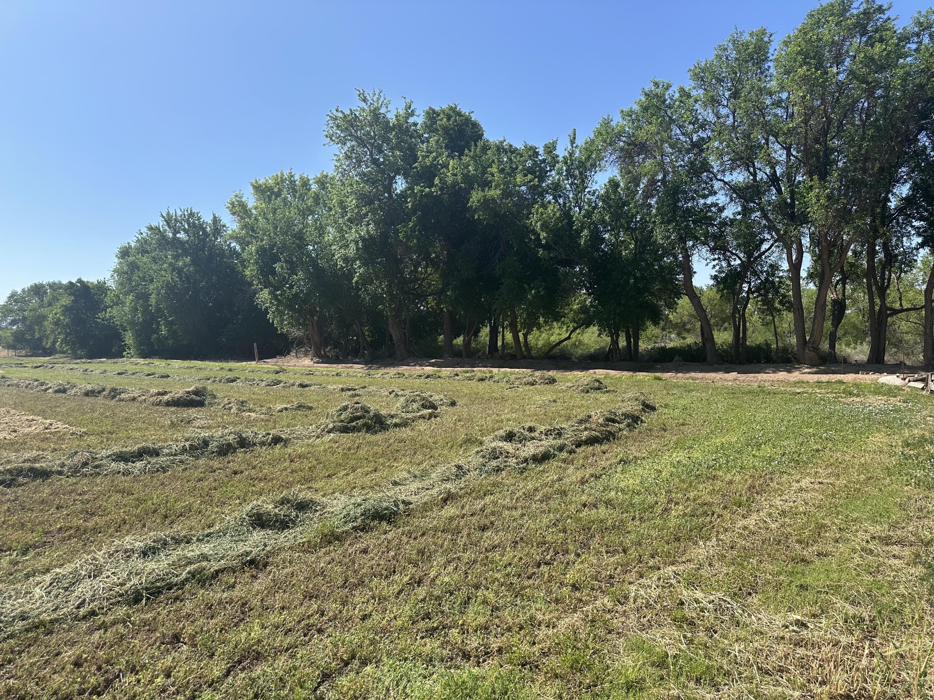 Homes for sale in Bosque, NM | 145 Off Nm Hwy 116, Bosque, NM 87006 | MLS# 1086097