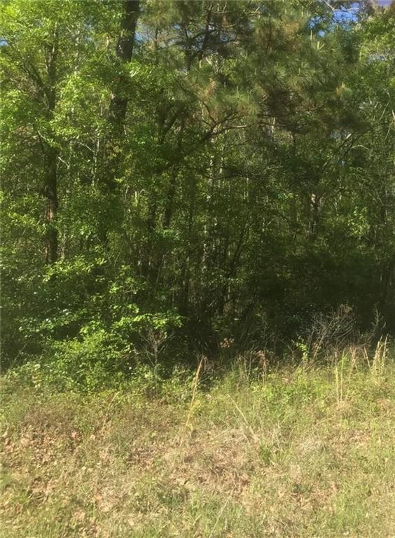 Clyde Parker Road — photo 2