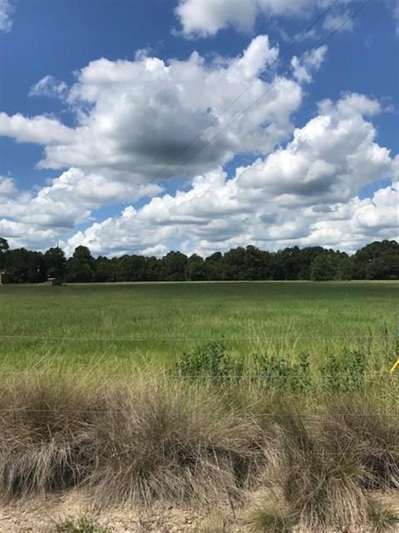 Hickory Branch, Lot 2 Road — photo 2