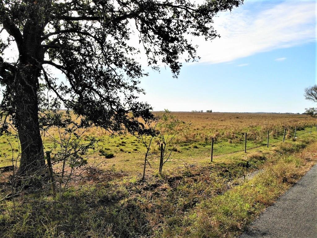 Blanchard Road