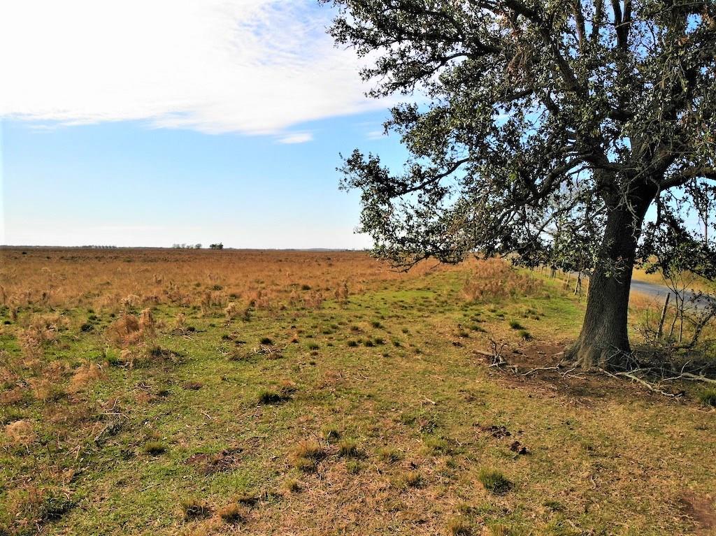 Blanchard Road — photo 3