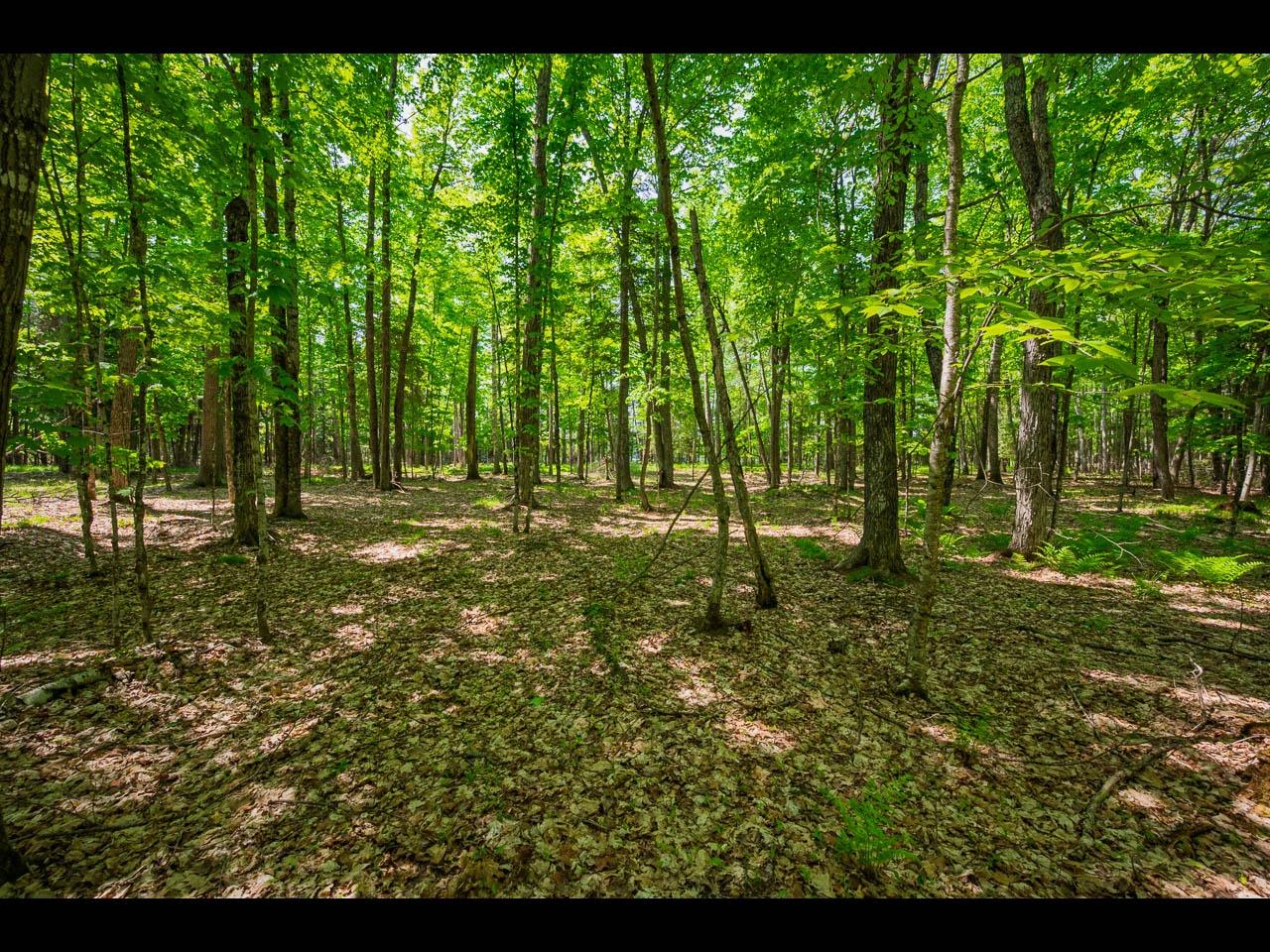 Clearwater Lake Property Lot 24 Bonita Pt Photo 5