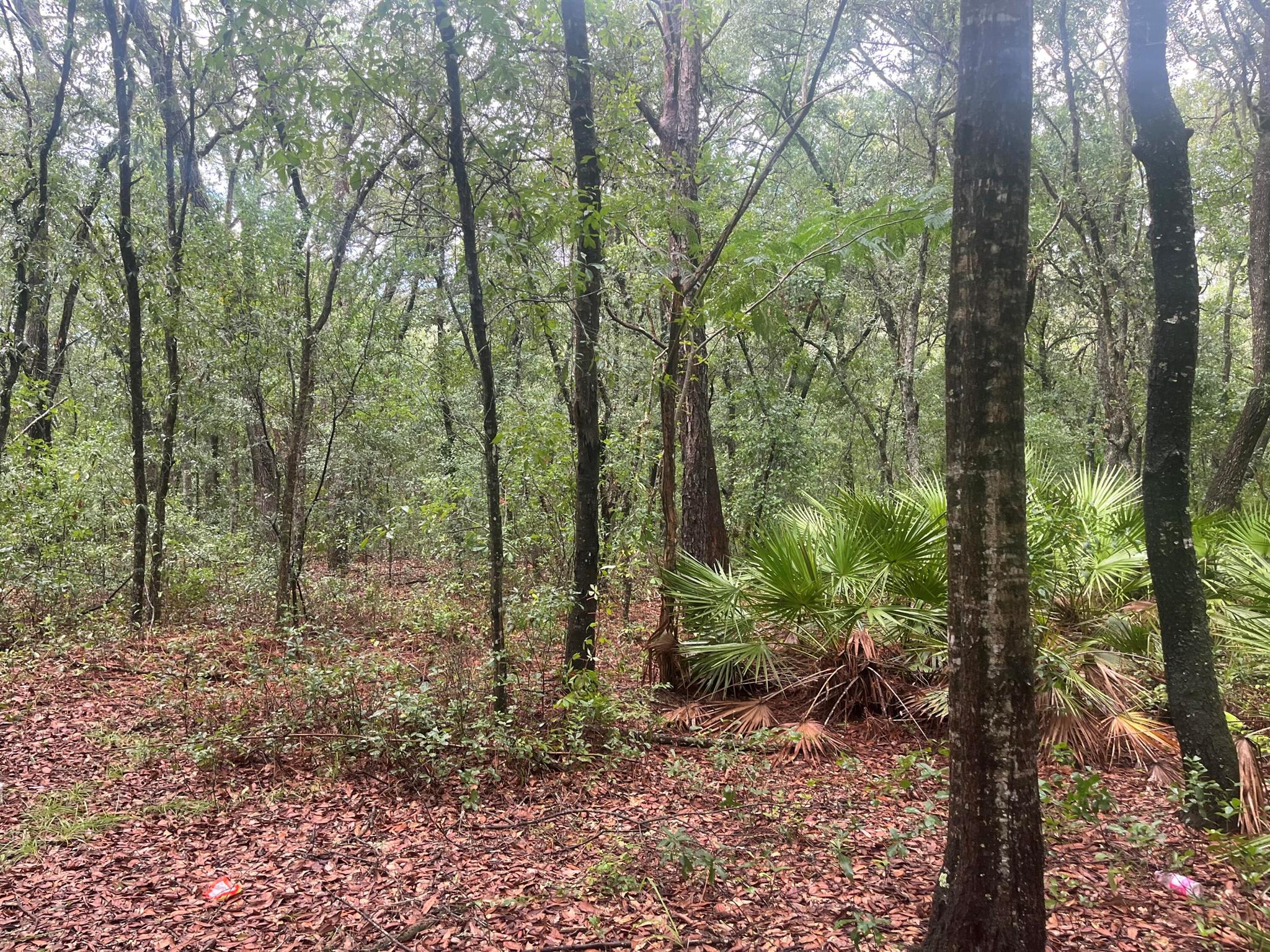 Interlachen Lakes Estates