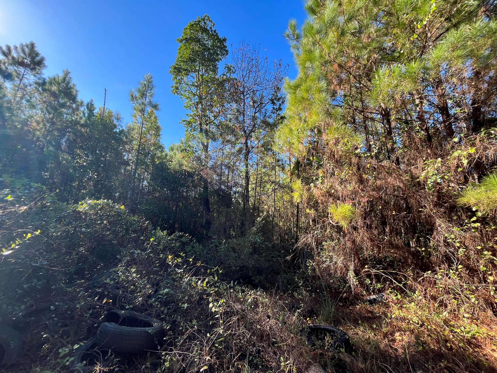 St Johns Riverside Estate