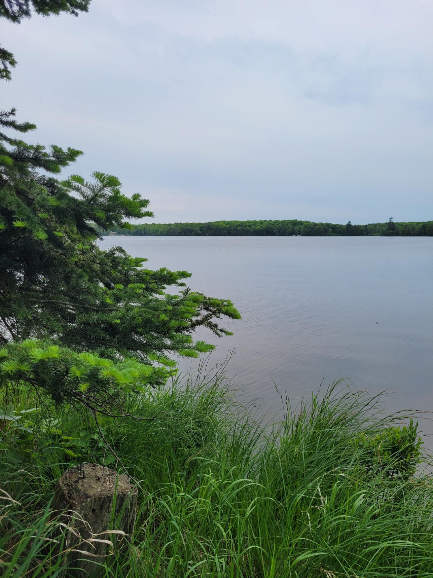 Pardee Lake Property ON Pardee Lake Ln E Photo 1