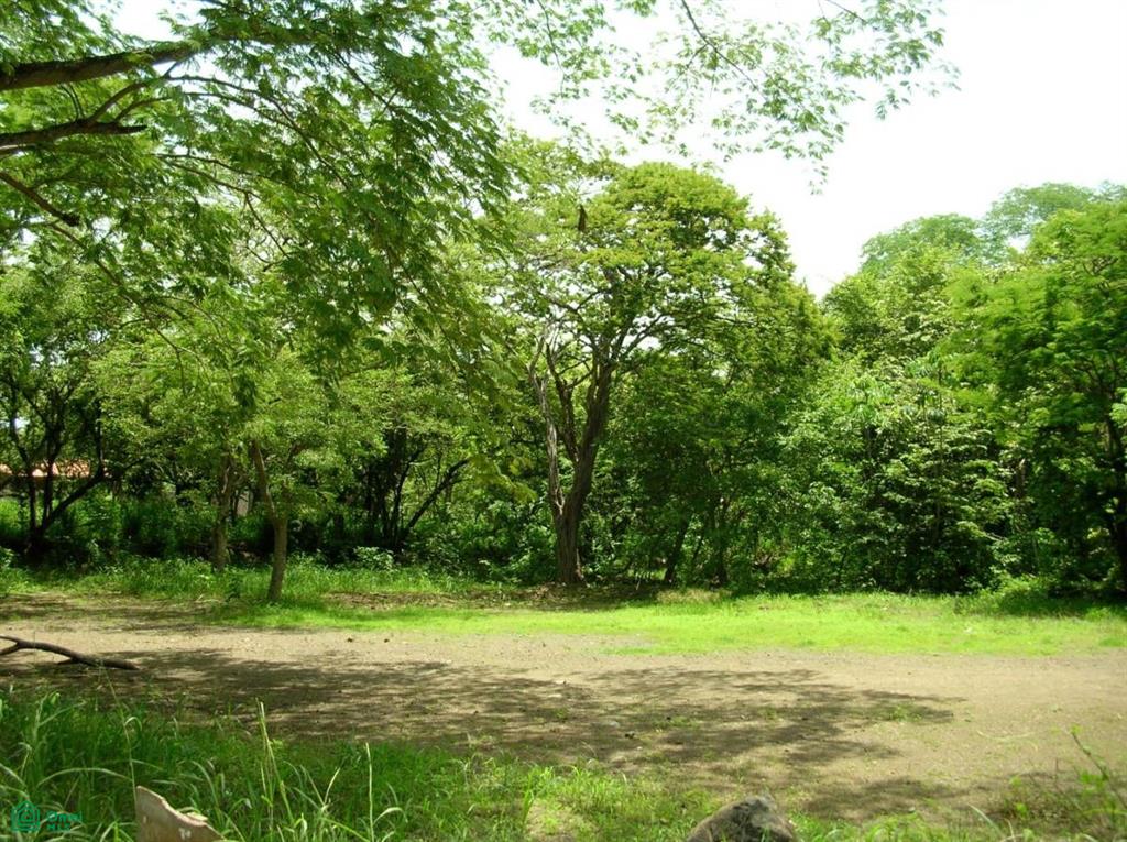 0 bed Land For Sale in Carrillo, Guanacaste - 1