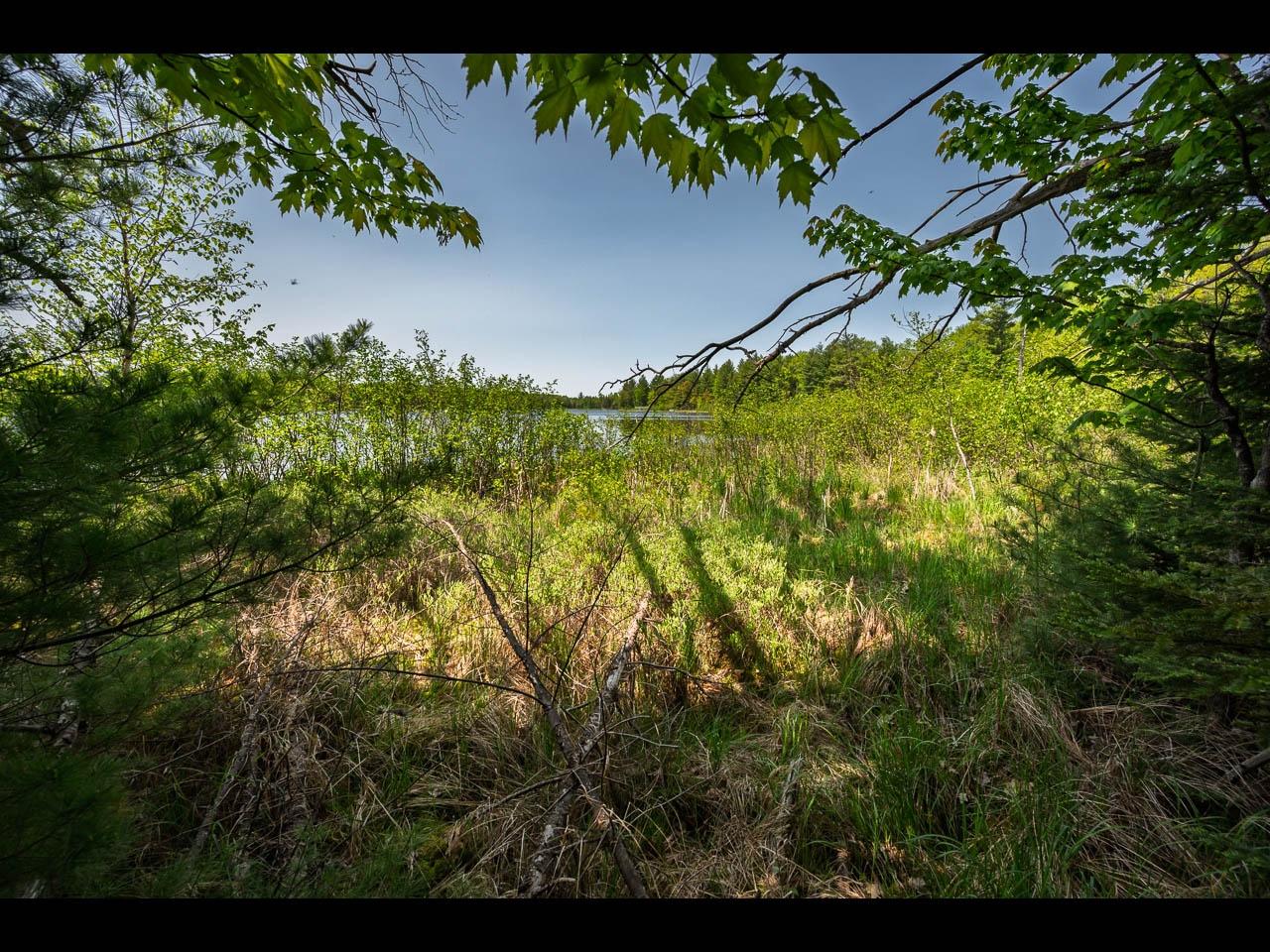 Clearwater Lake Property Lot 25 Bonita Pt Photo 3