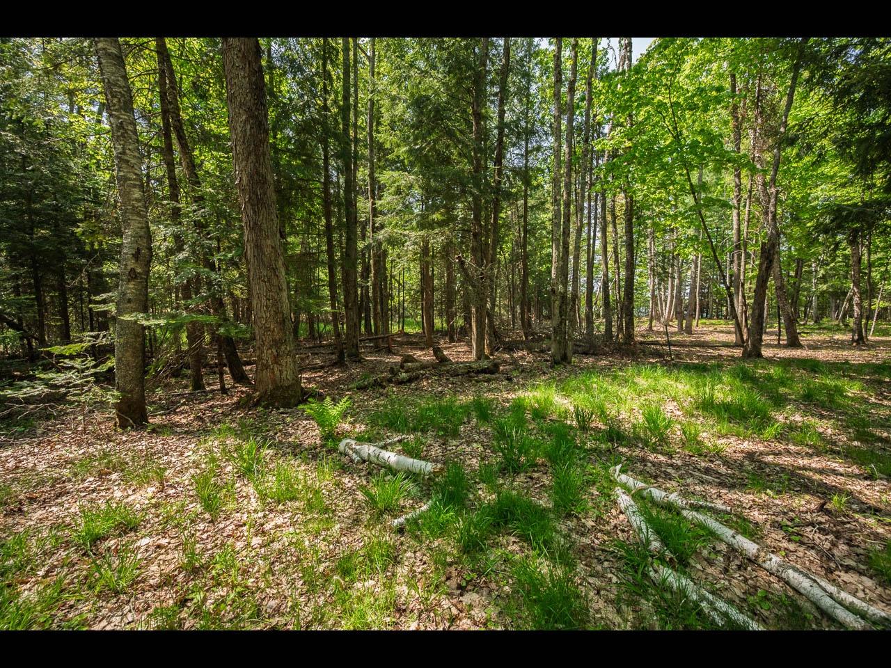 Clearwater Lake Property Lot 25 Bonita Pt Photo 4