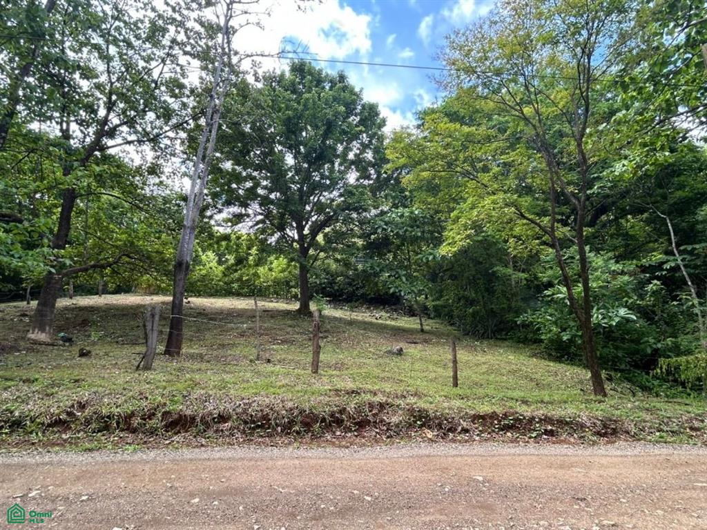 0 bed Land For Sale in Santa Cruz, Guanacaste - 1
