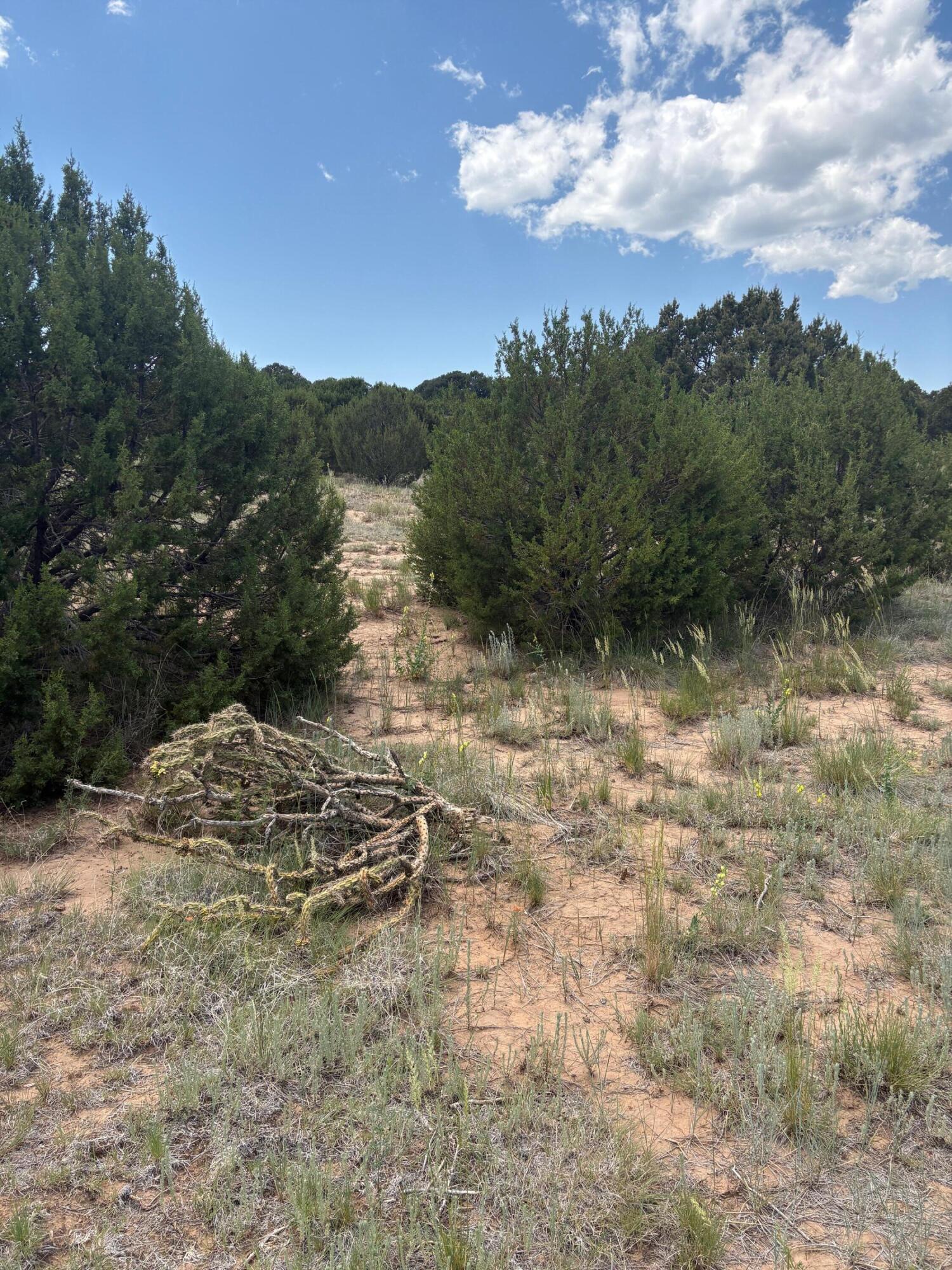 Homes for sale in Tajique, NM | Wilson Ranch Lot#8, Tajique, NM 87016 | MLS# 1086302