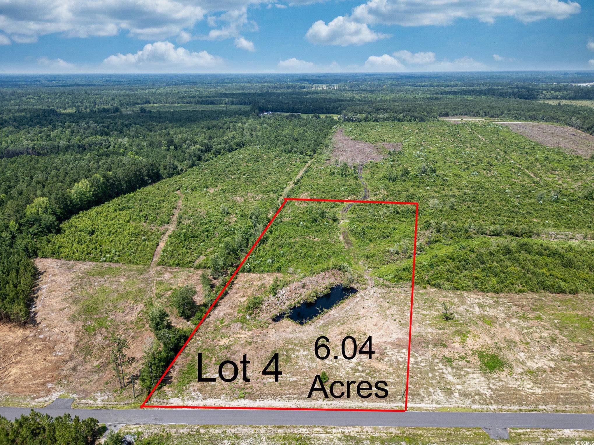 TBD Bellaire Dr. Nichols, SC 29581
