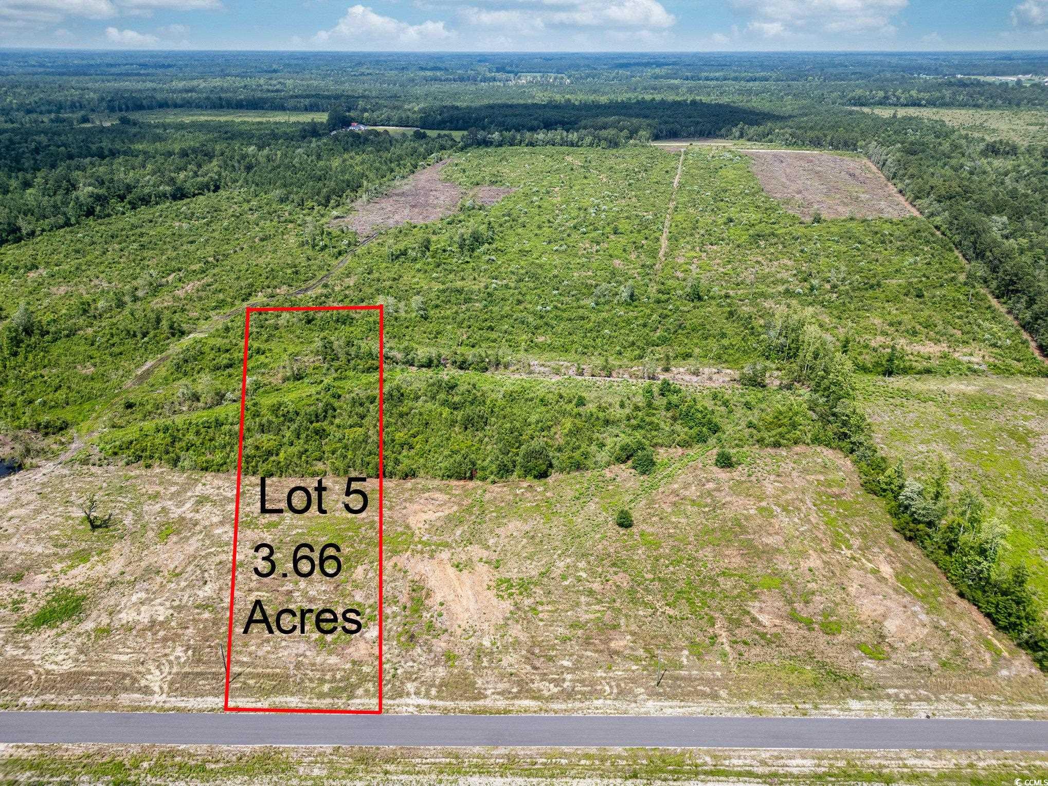 TBD Bellaire Dr. Nichols, SC 29581