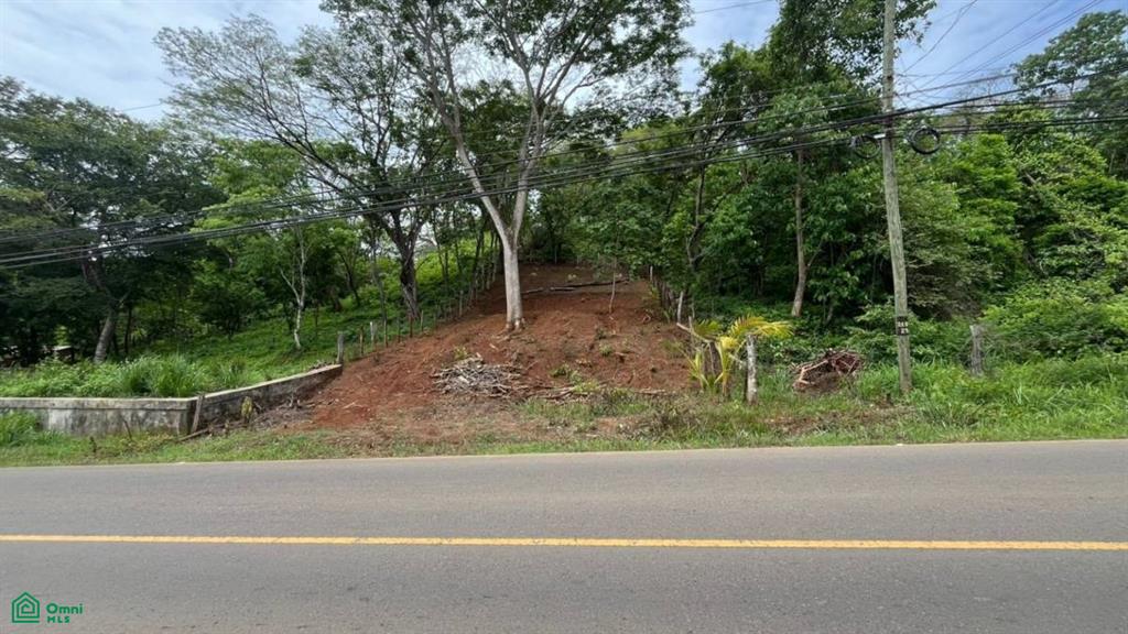 0 bed Land For Sale in Santa Cruz, Guanacaste - 1