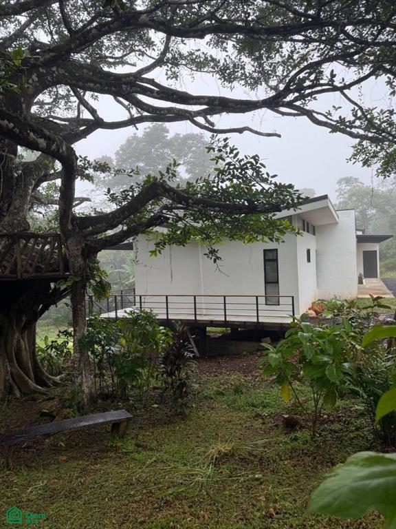 0 bed Single Family Homes For Sale in San Mateo, Alajuela - 1