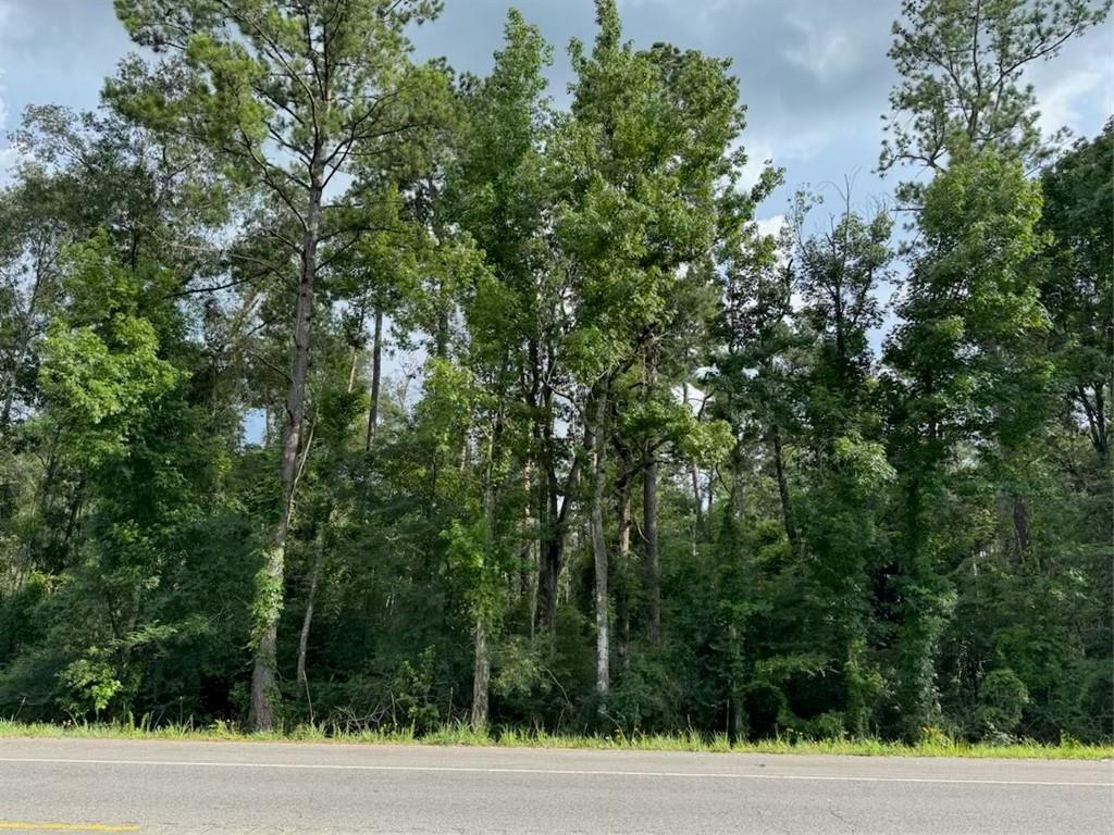 Homes for sale in Holden, LA | Bp 7 Hwy 190, Holden, LA 70744 | MLS# 2508093
