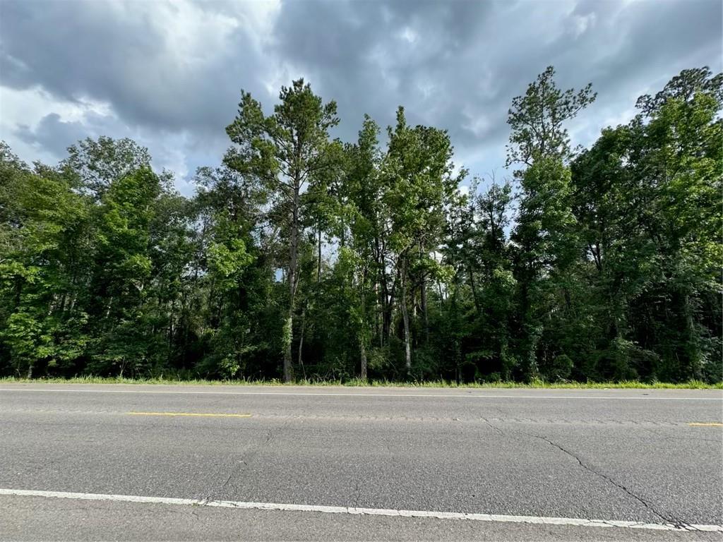 Homes for sale in Holden, LA | Bp-7 Hwy 190, Holden, LA 70744 | MLS# 2508093