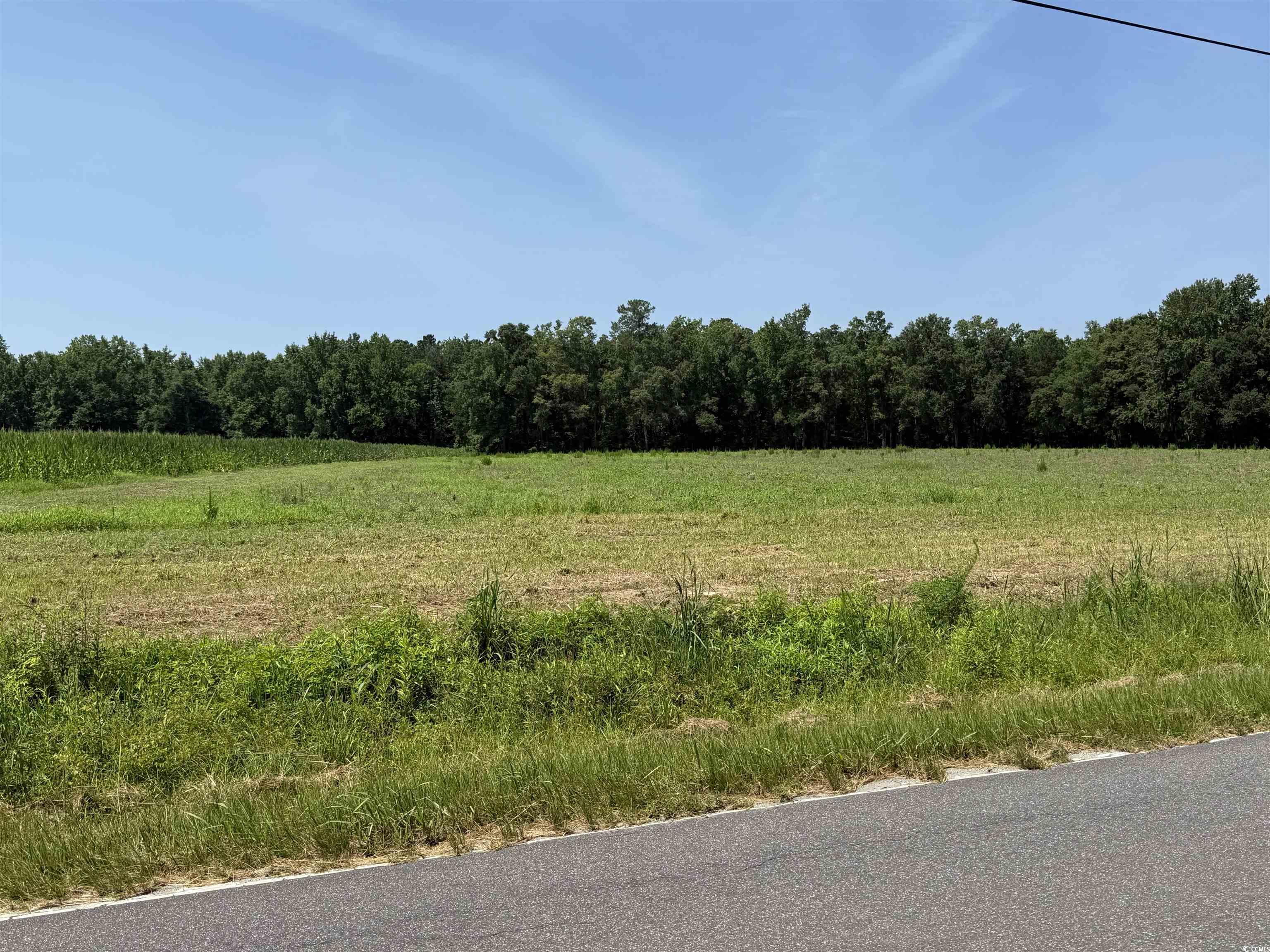 TBD Highway 668 Conway, SC 29526