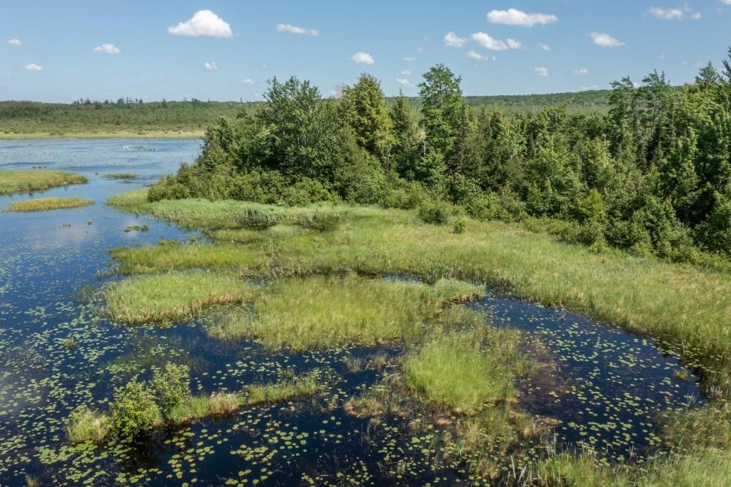 Undocumented Lake Property 6476 Flowage Ln Photo 57