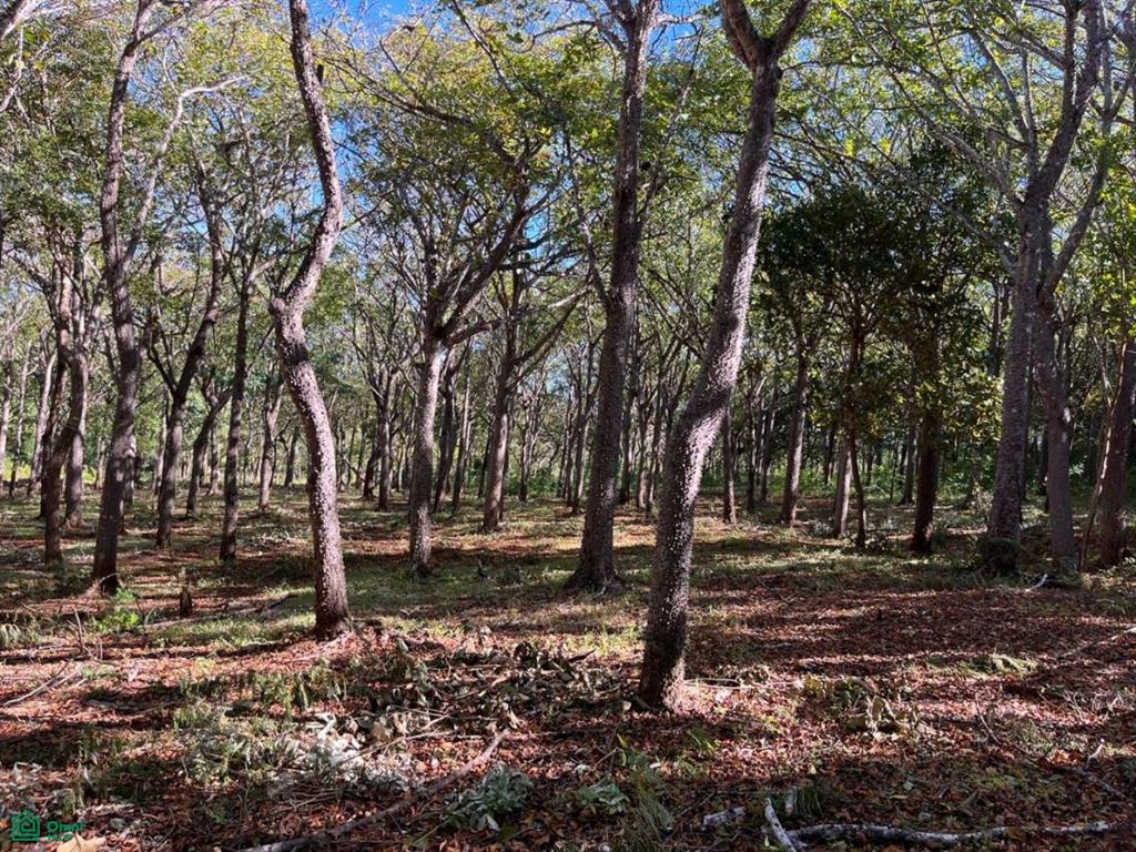 0 bed Land For Sale in Santa Cruz, Guanacaste - 1