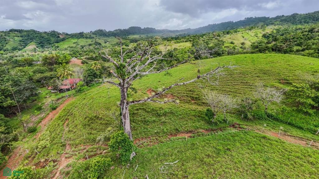 3 bed Land For Sale in Coto Brus, Puntarenas - 1