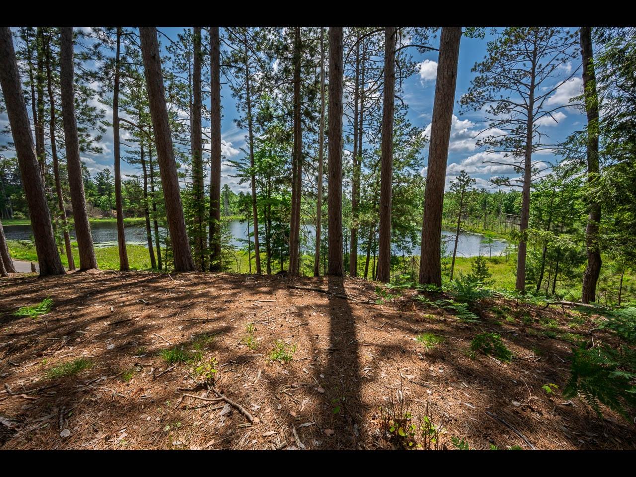Clearwater Lake Property Lot 129 Clearwater Lake Tr Photo 4