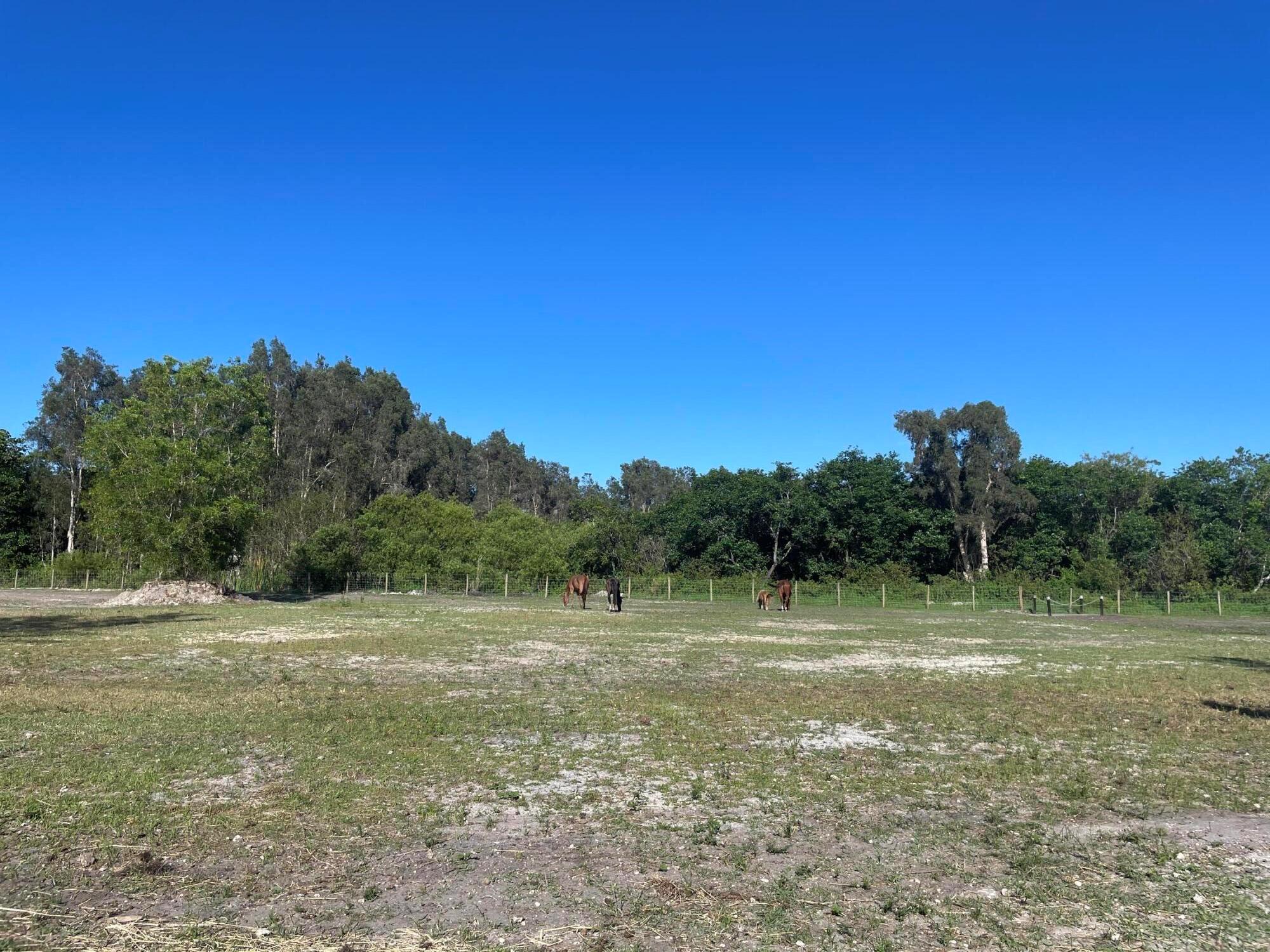 Homes for sale in West Palm Beach, FL | 12398 Tangerine Boulevard, West Palm Beach, FL 33412 | MLS# R11102465