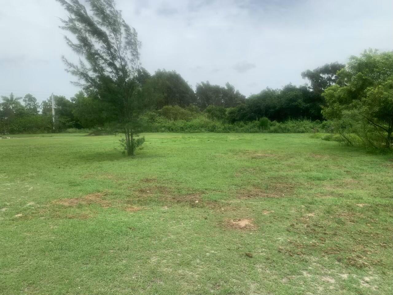 Homes for sale in West Palm Beach, FL | 12398 Tangerine Boulevard, West Palm Beach, FL 33412 | MLS# R11102465