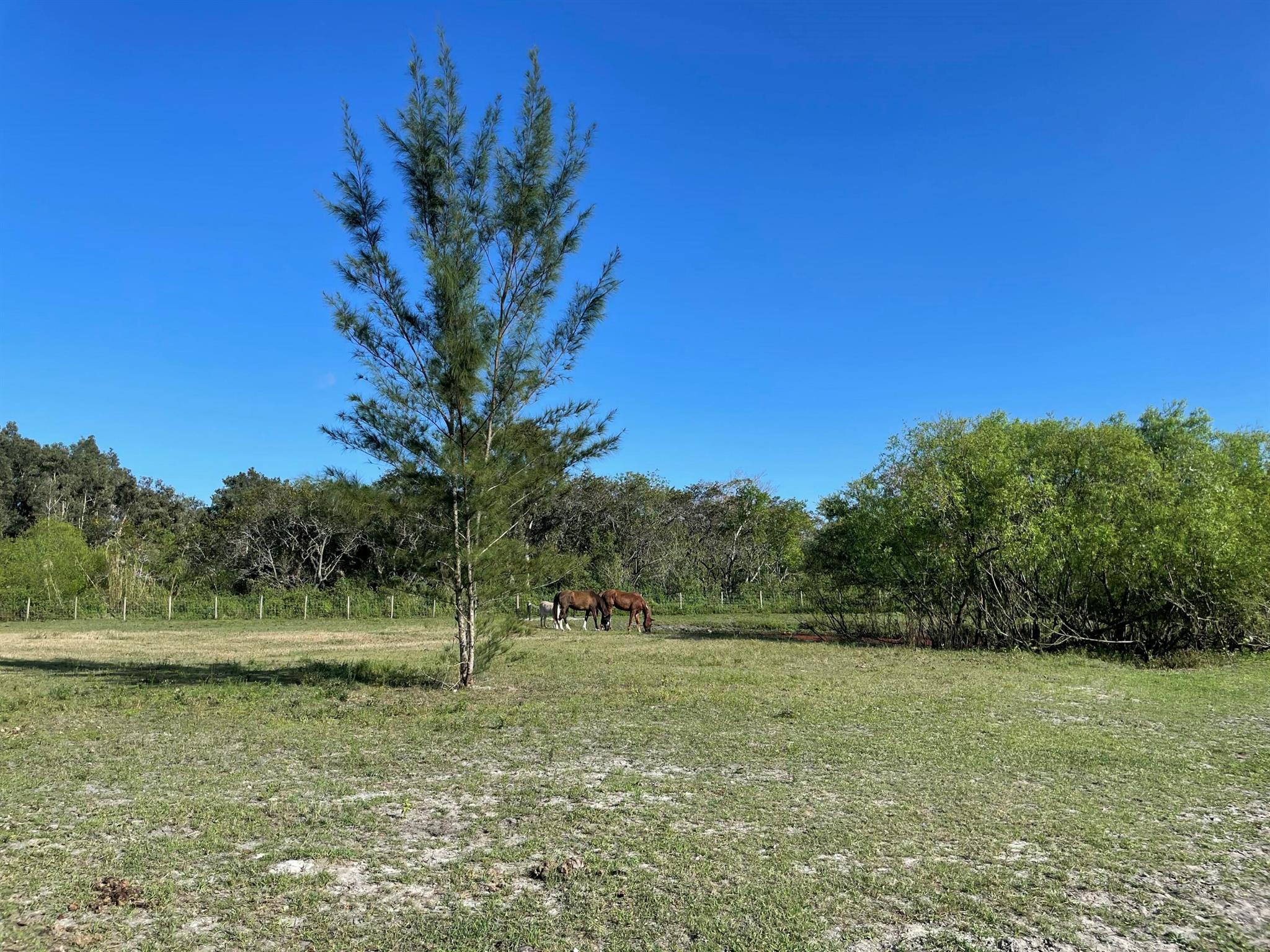 Homes for sale in West Palm Beach, FL | 12398 Tangerine Boulevard, West Palm Beach, FL 33412 | MLS# R11102465