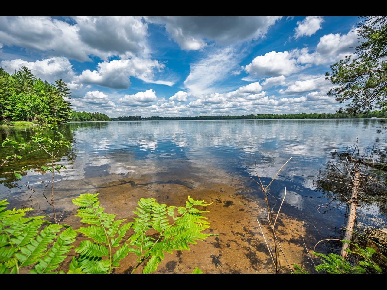 Clearwater Lake lot picture