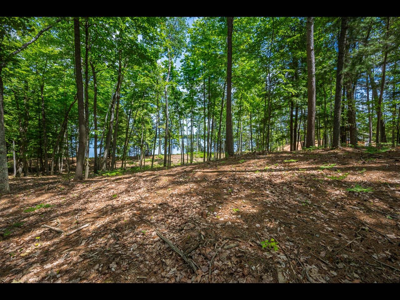 Clearwater Lake Property Lot 130 Clearwater Lake Tr Photo 17