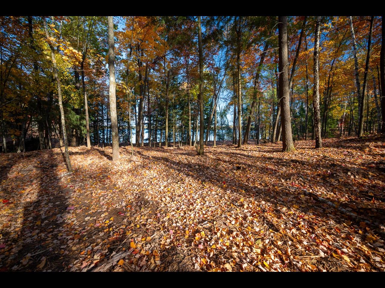 Clearwater Lake Property Lot 130 Clearwater Lake Tr Photo 6